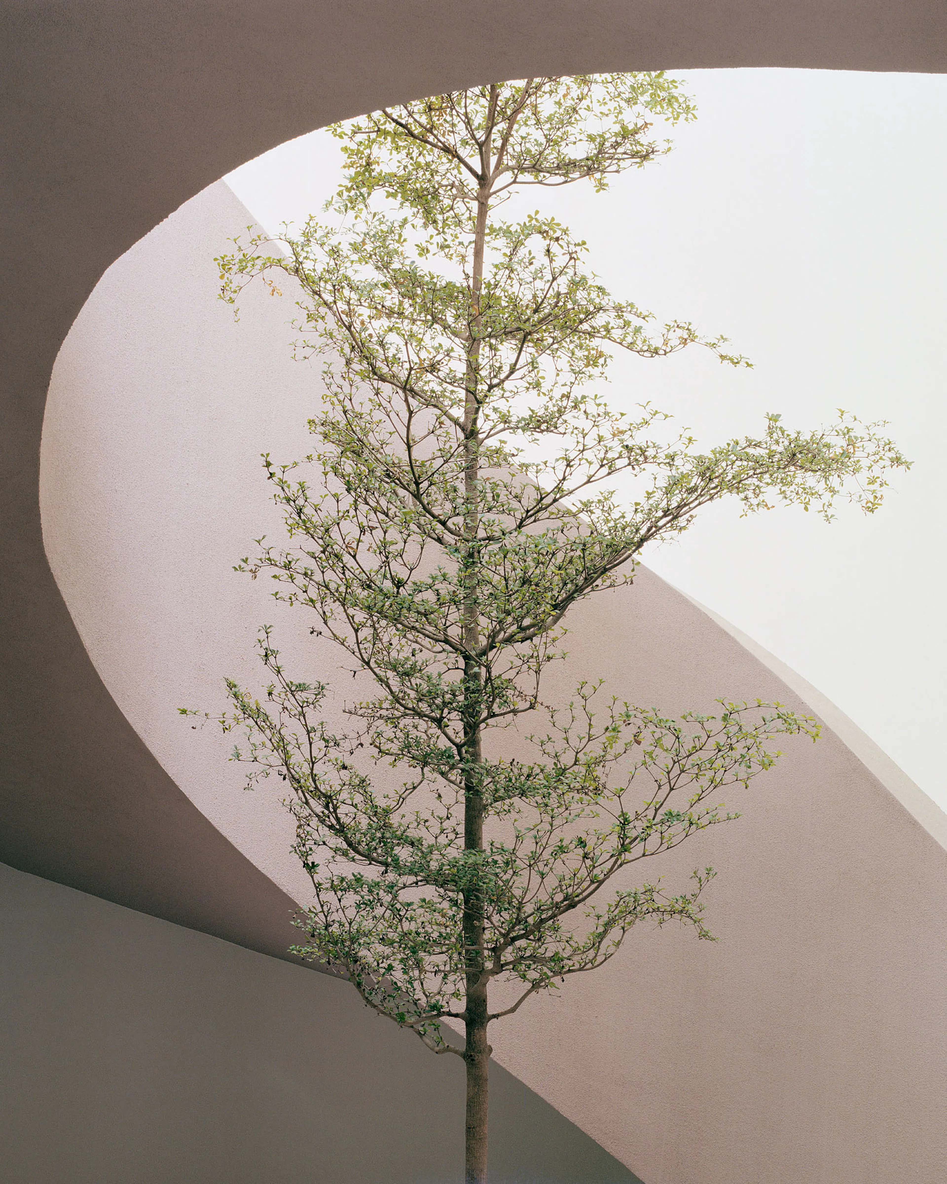 Gyöngyszem Kindergarten — 5