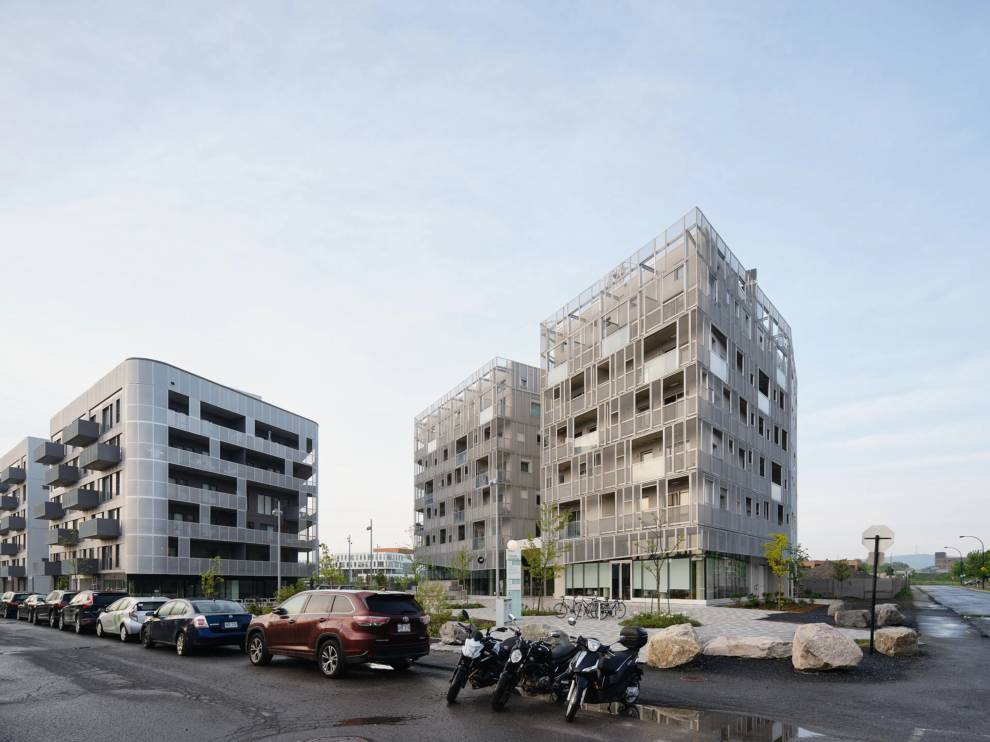 Rose des Vents — 2