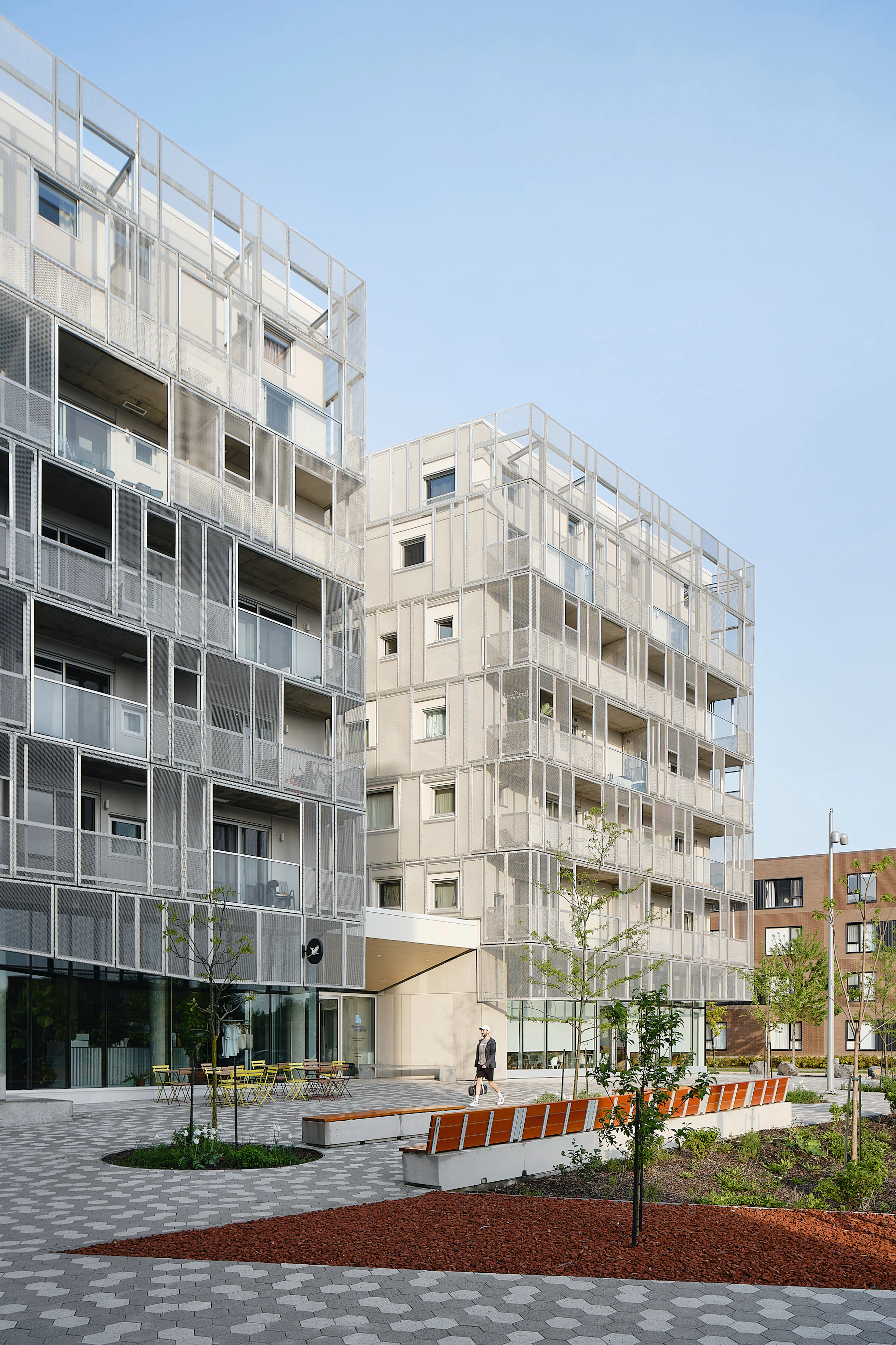 Rose des Vents — 3