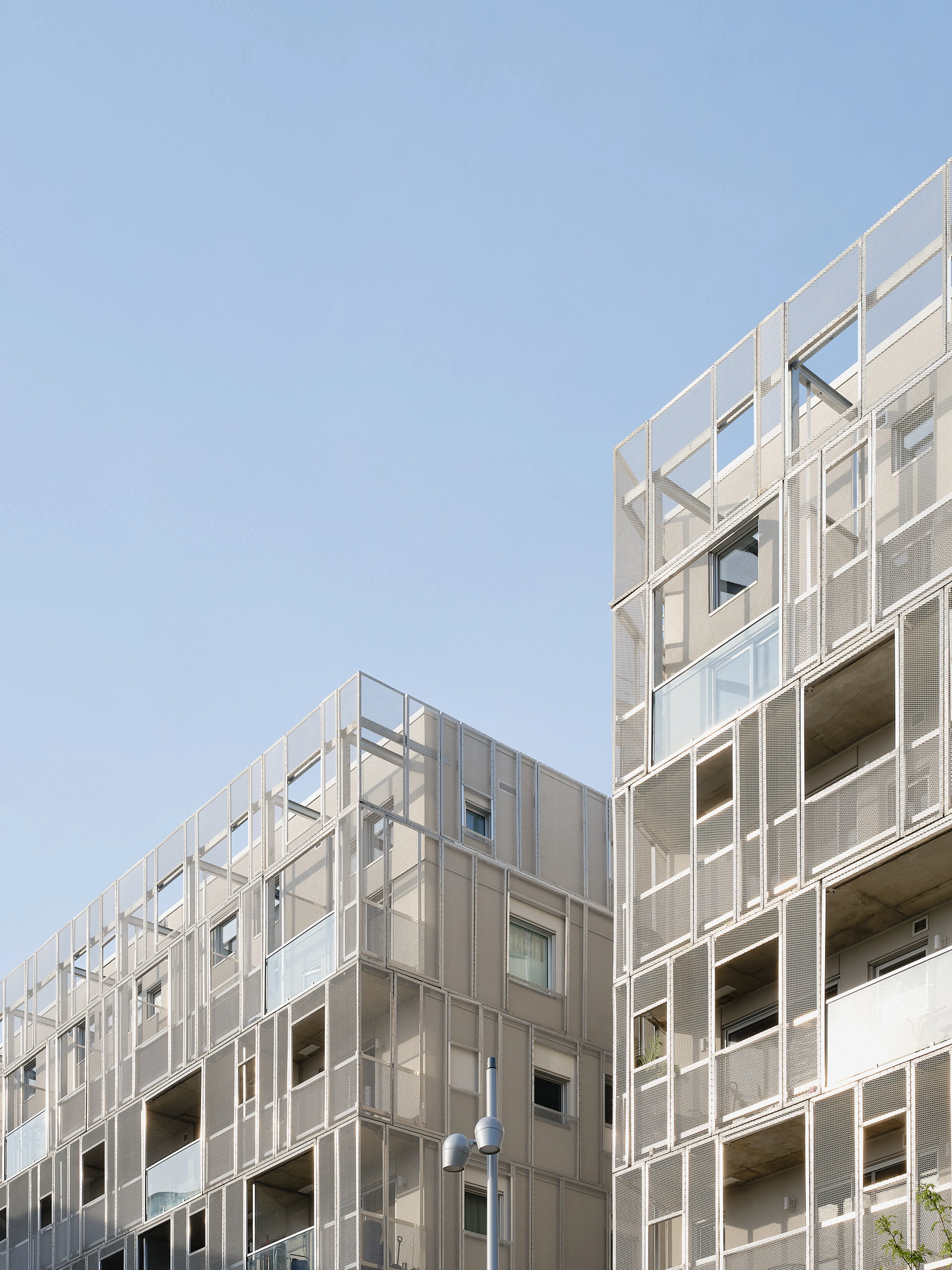 Rose des Vents — 4