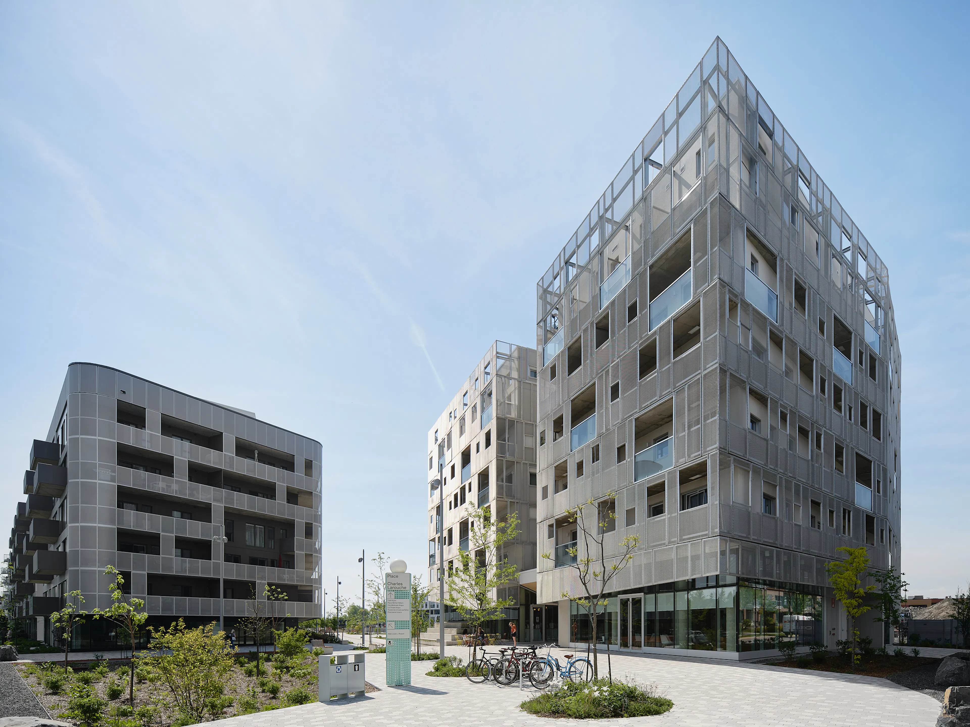 Rose des Vents — 5