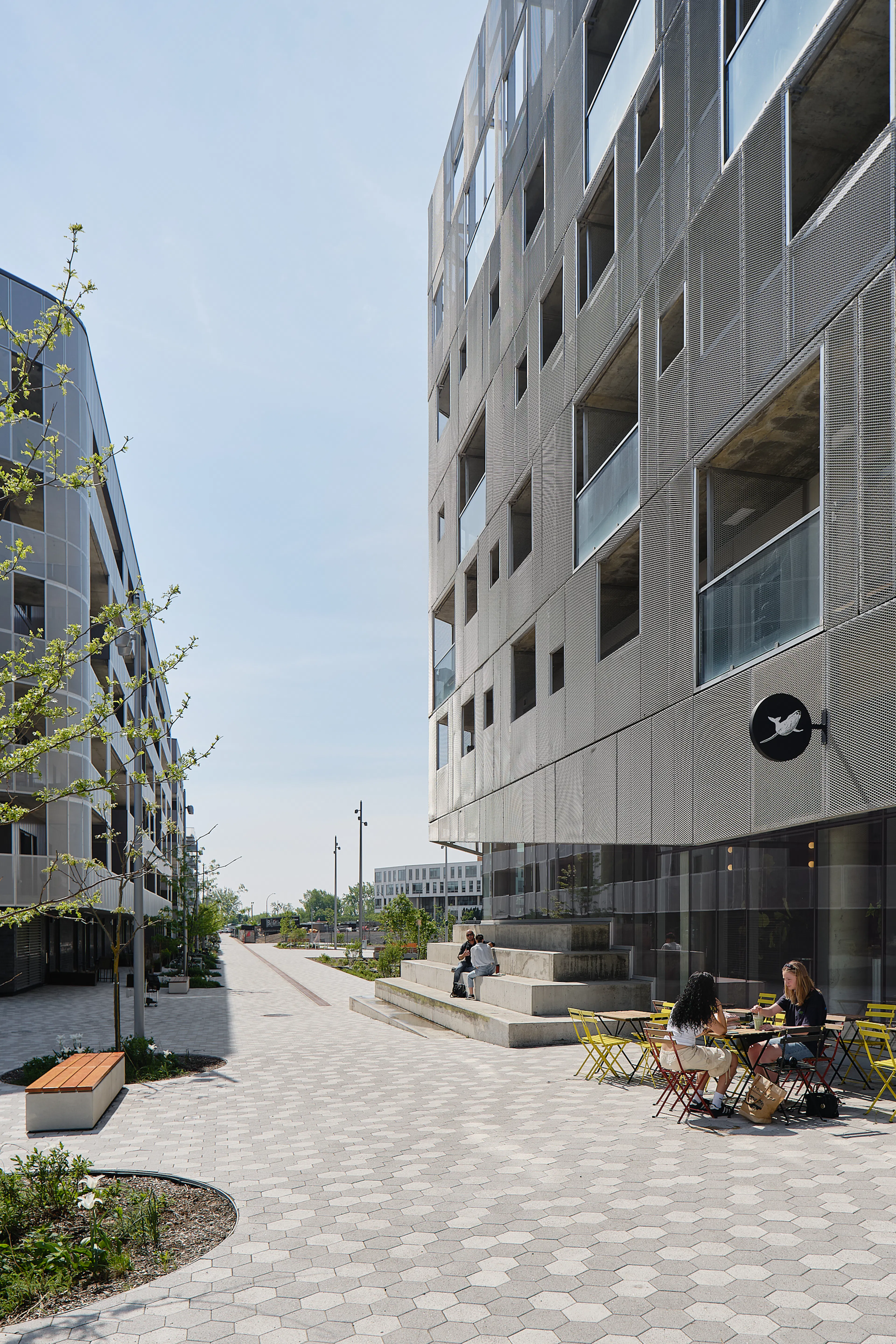 Rose des Vents — 6