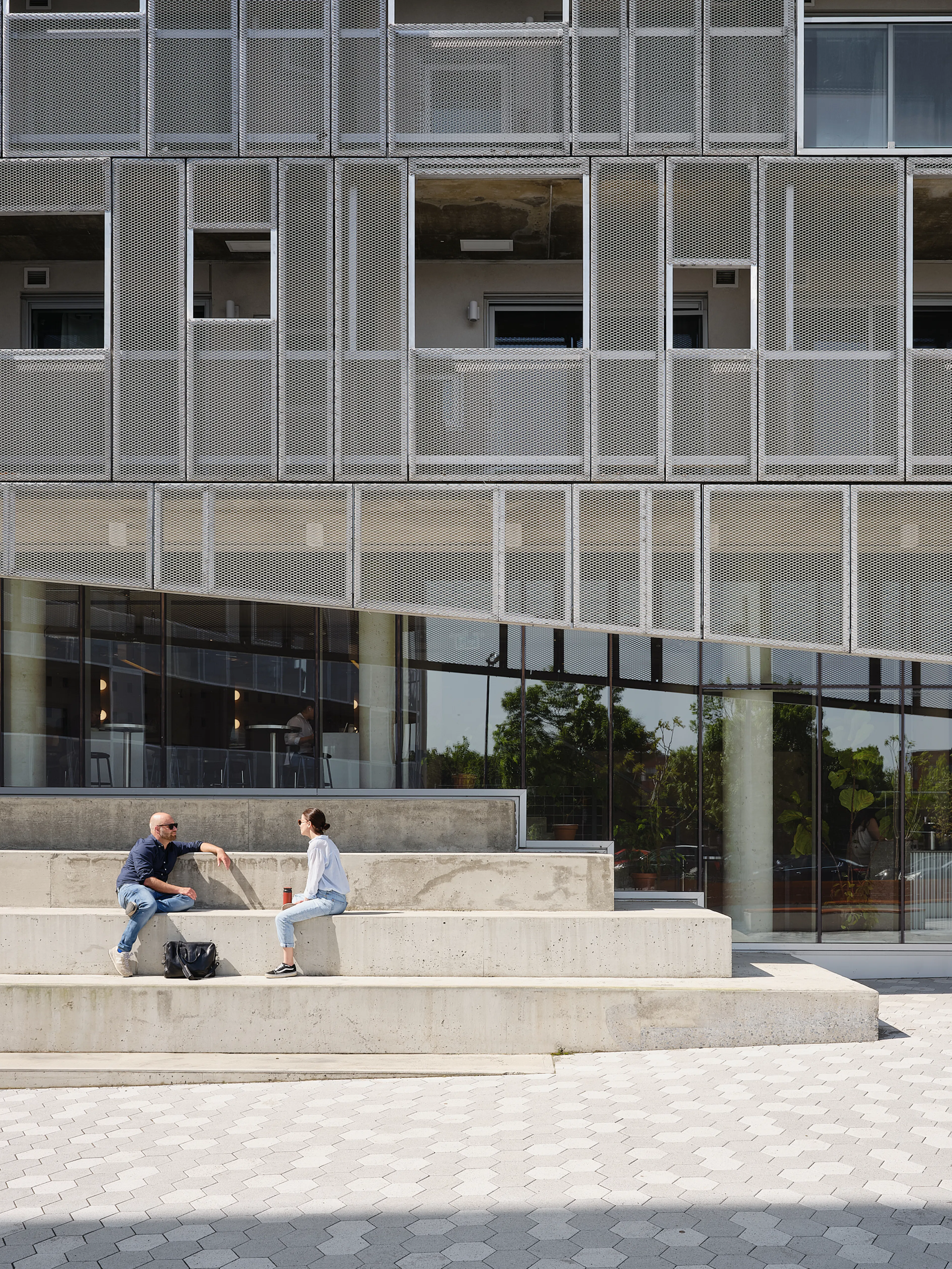 Rose des Vents — 7