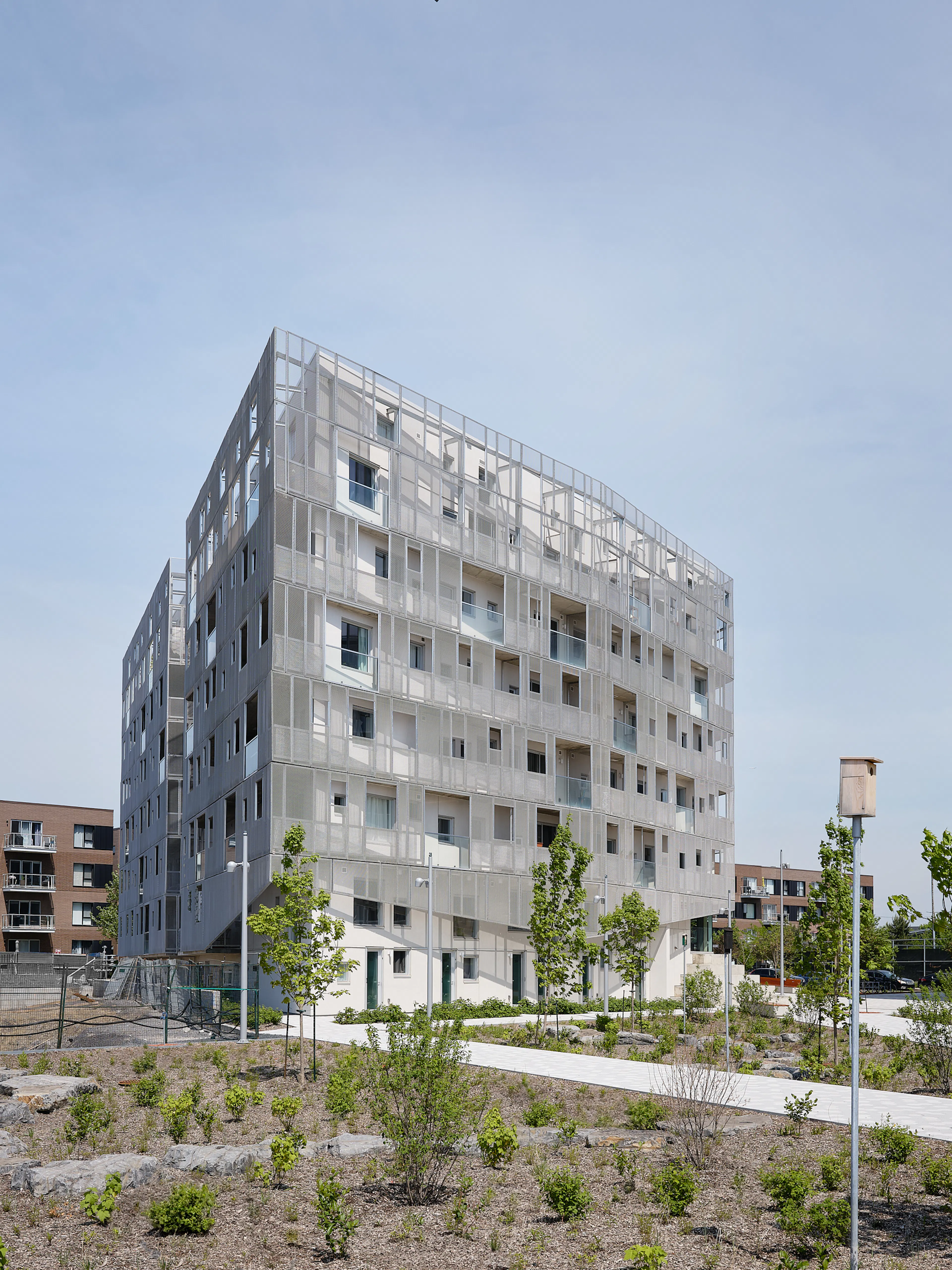 Rose des Vents — 8