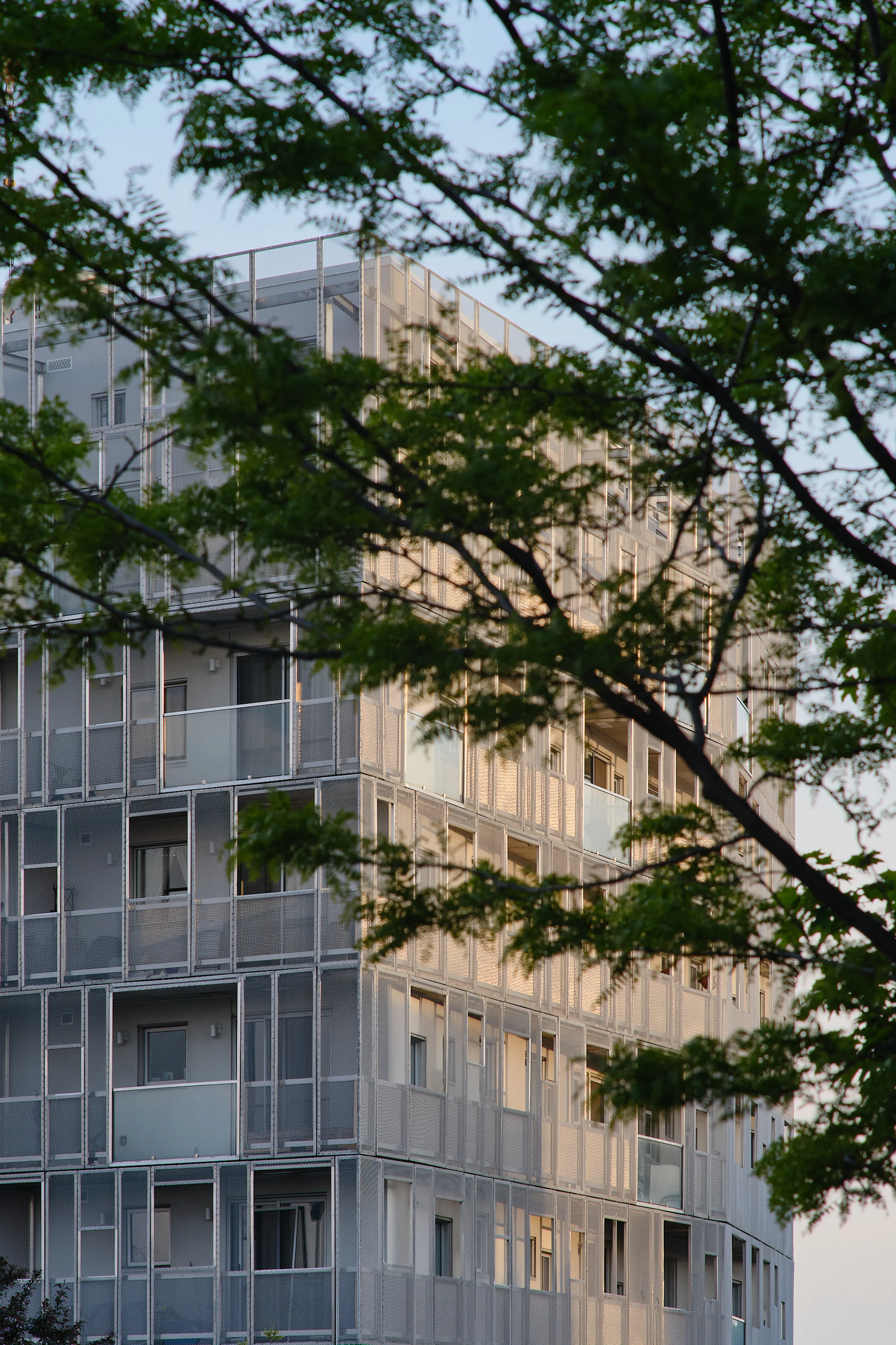 Rose des Vents — 9