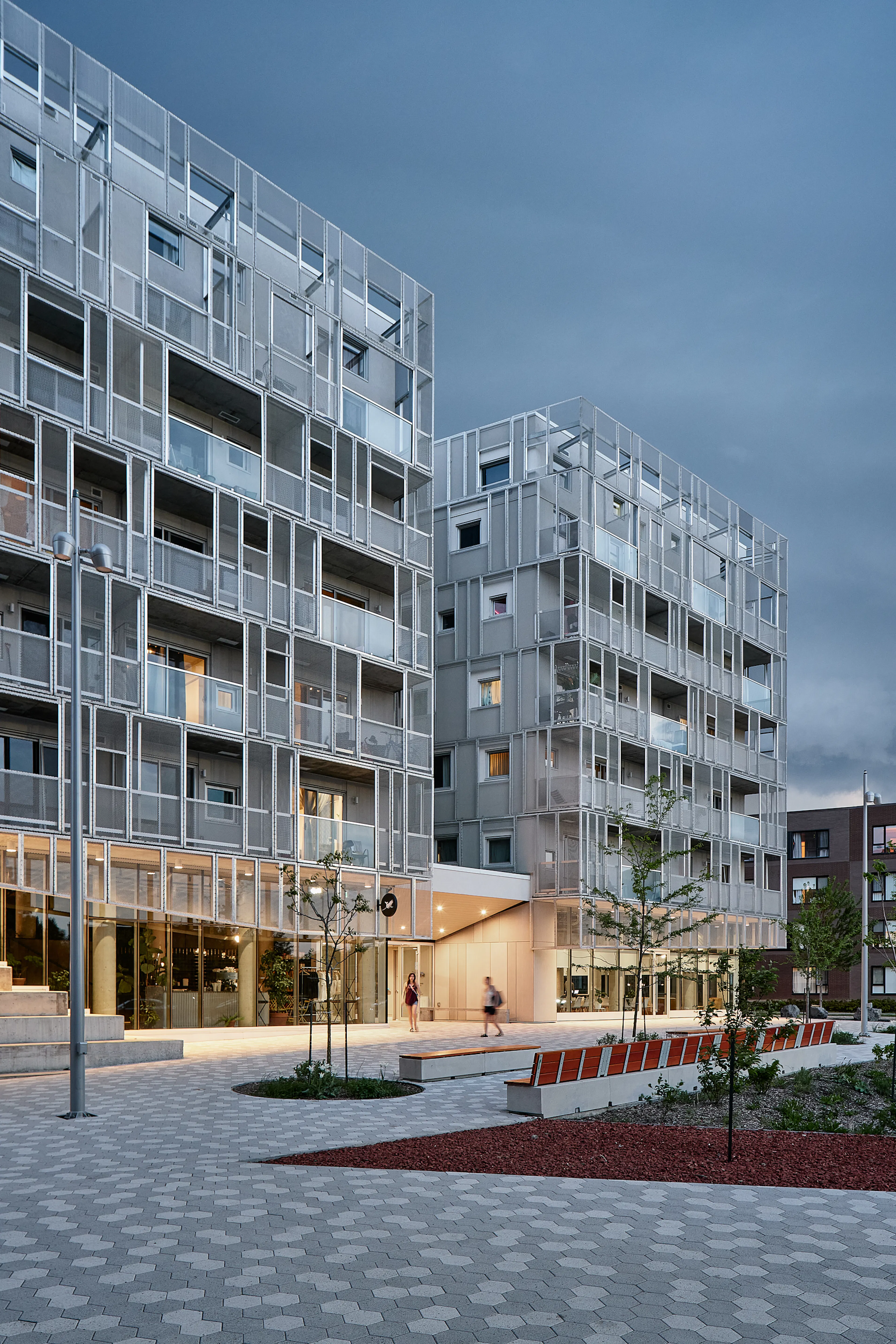 Rose des Vents — 10