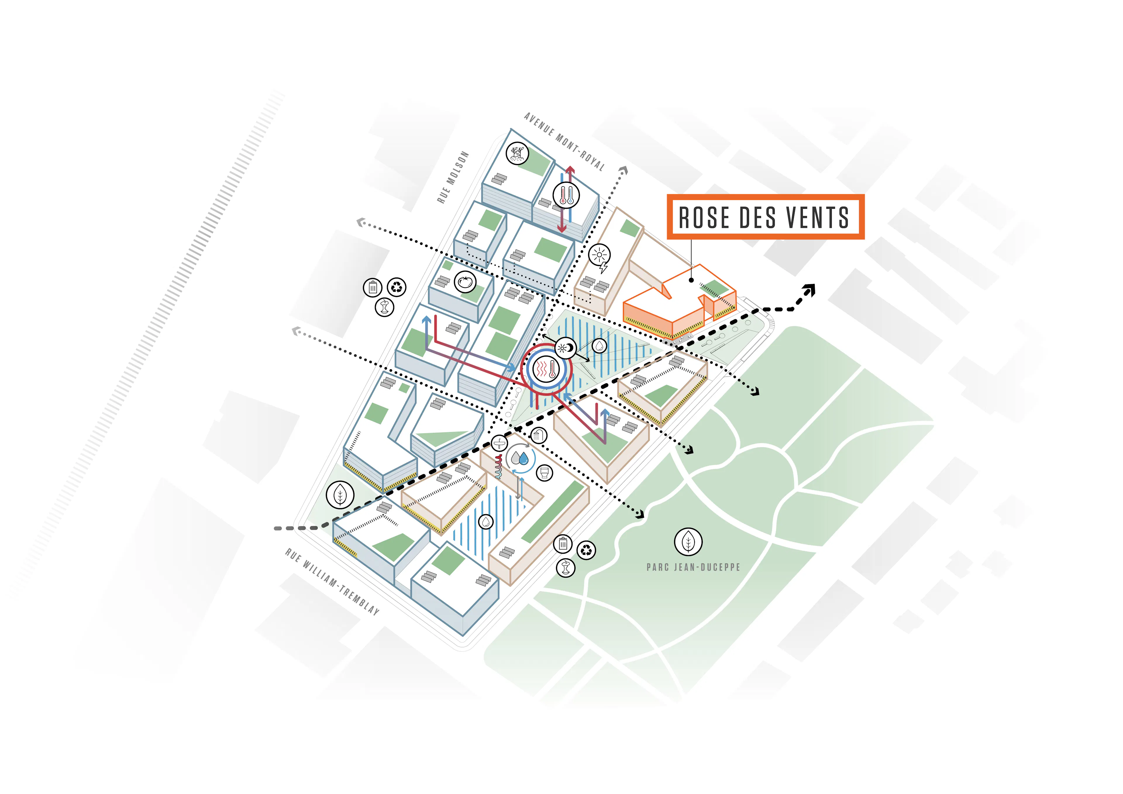 Rose des Vents — 11