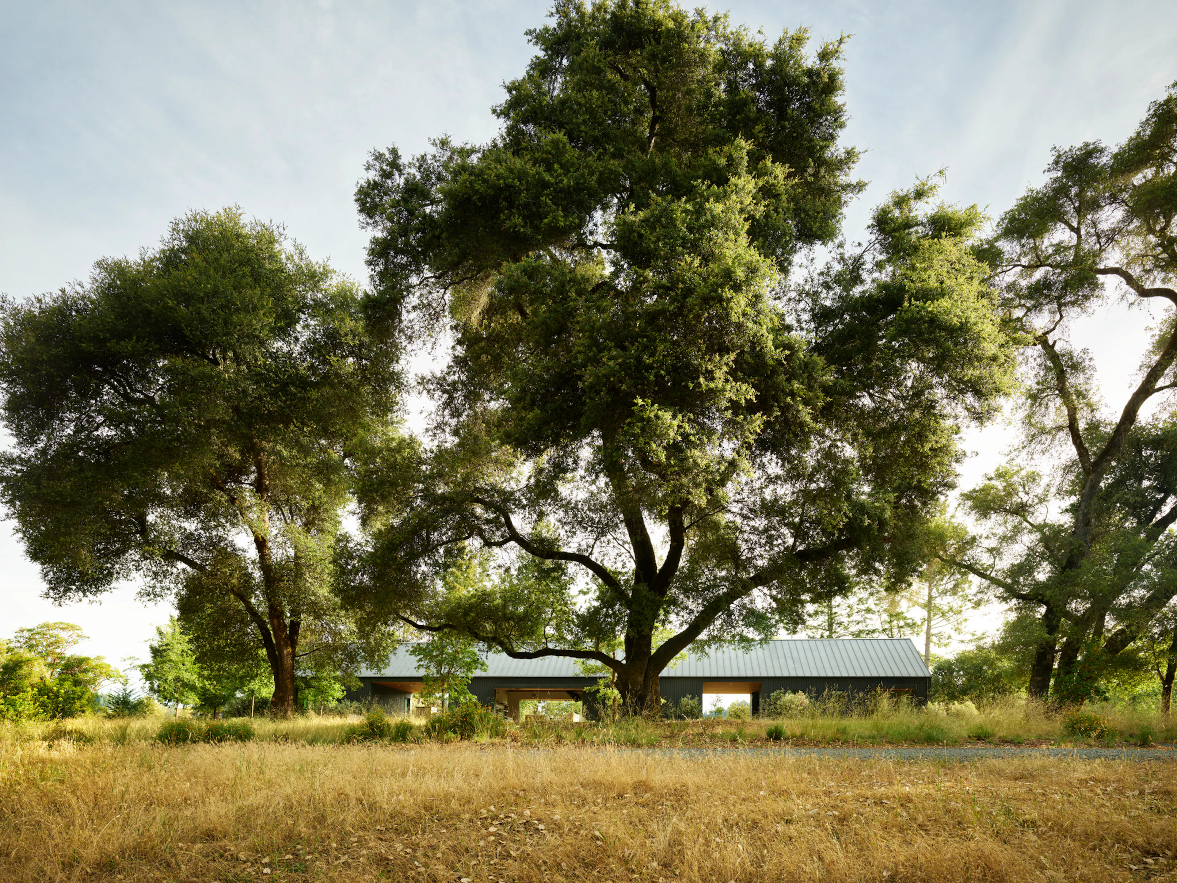 Northern California Reserve