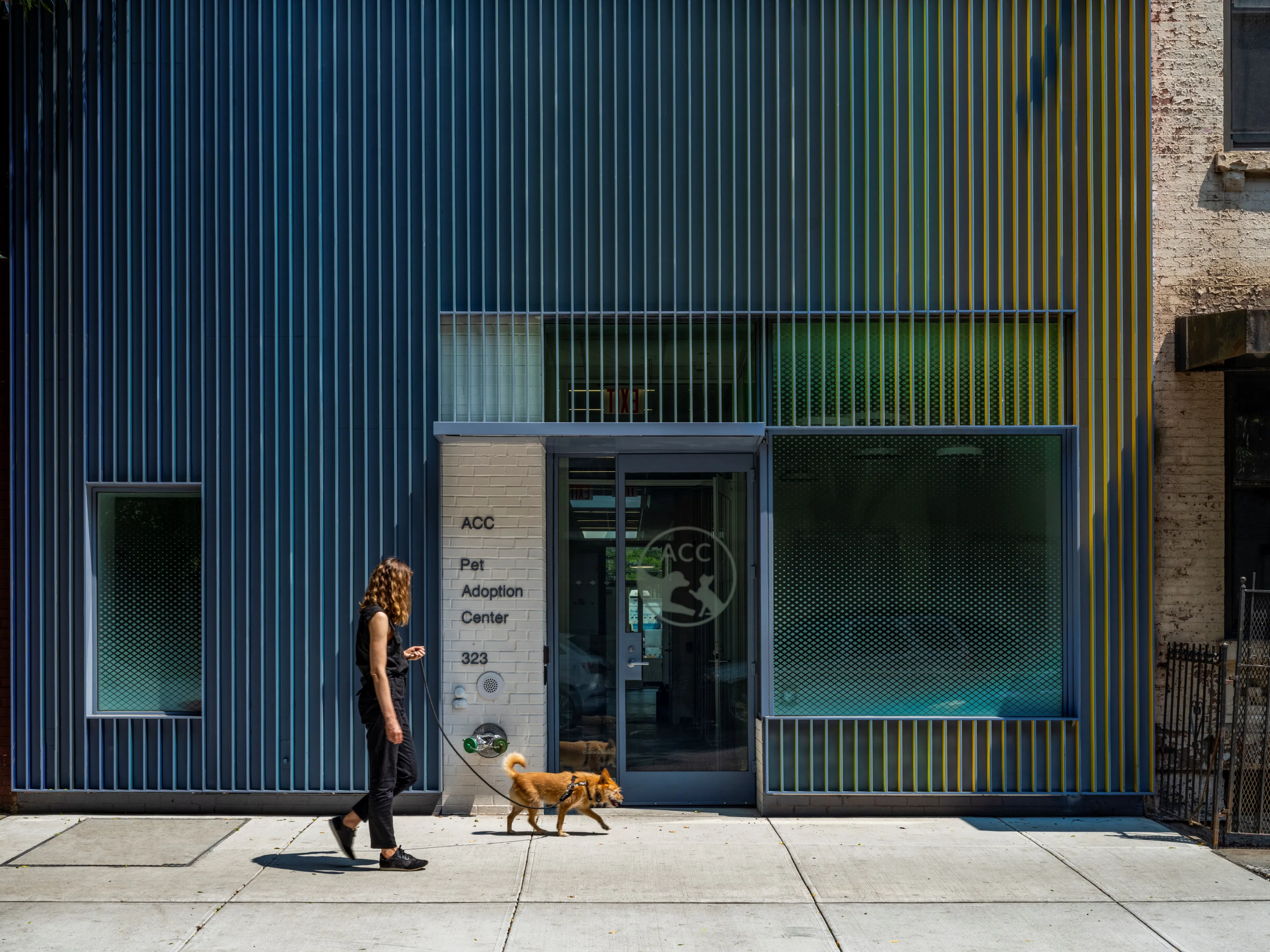 Manhattan Pet Adoption Center — 2