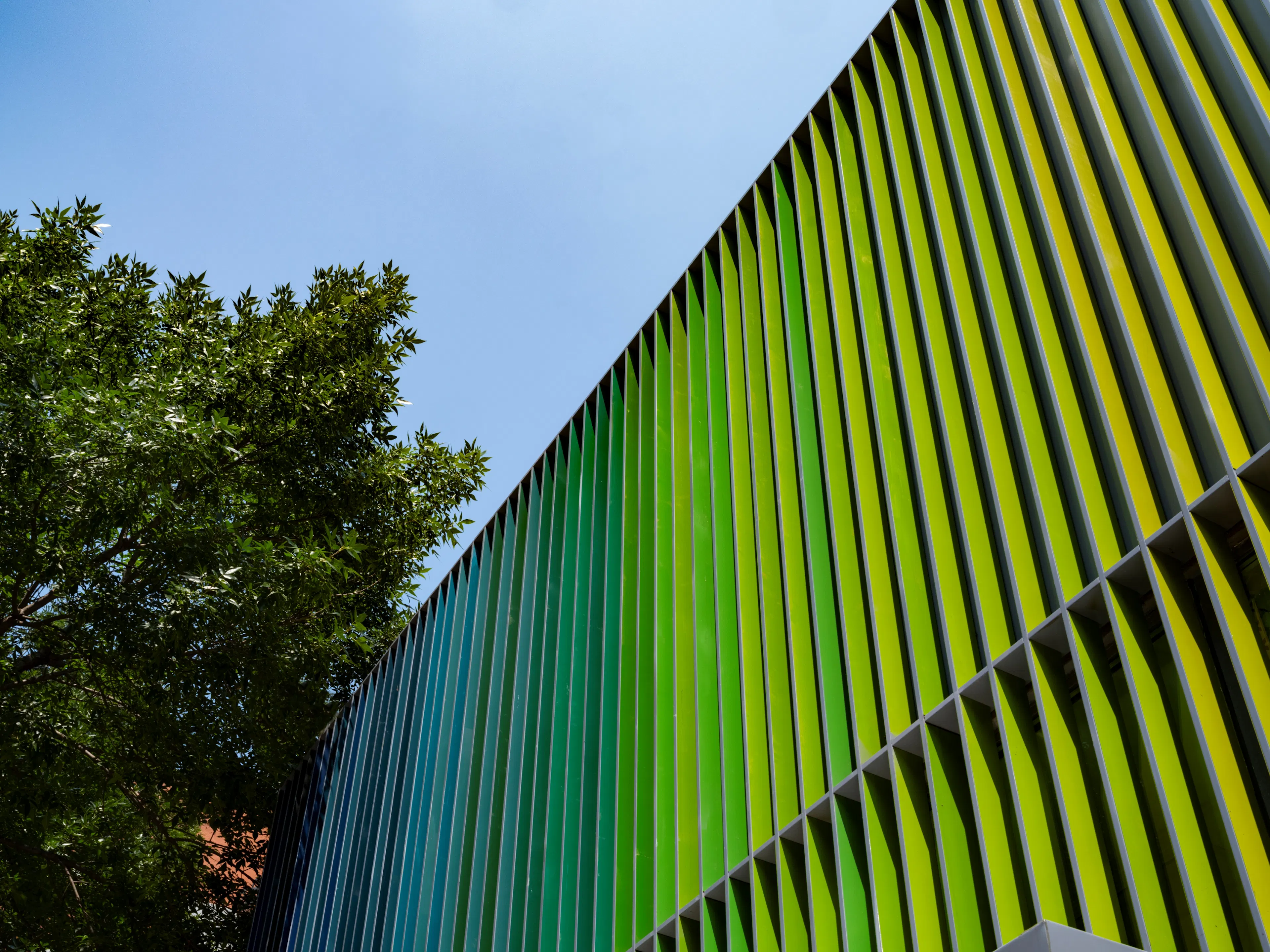 Manhattan Pet Adoption Center — 5