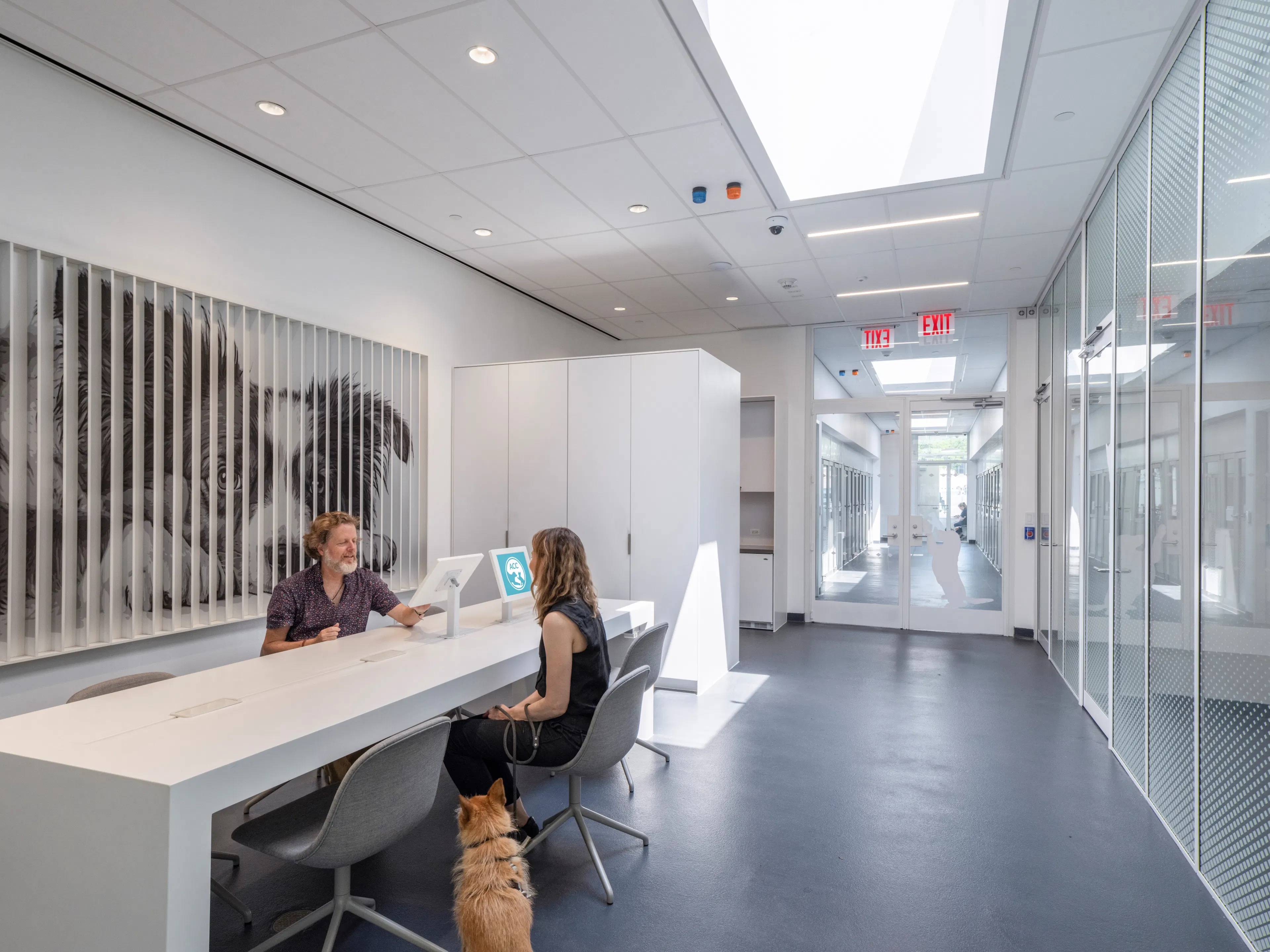 Manhattan Pet Adoption Center — 6