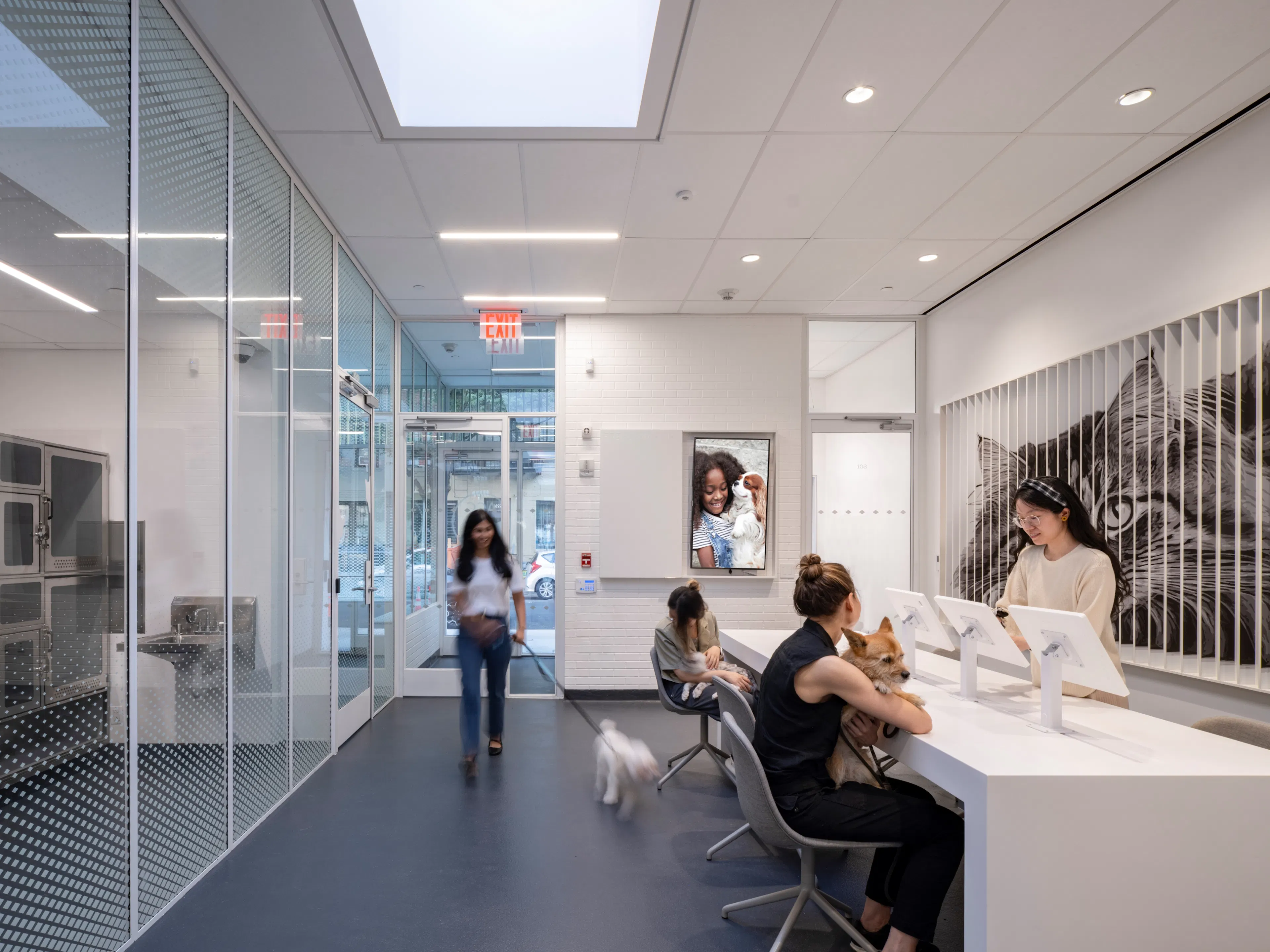 Manhattan Pet Adoption Center — 9