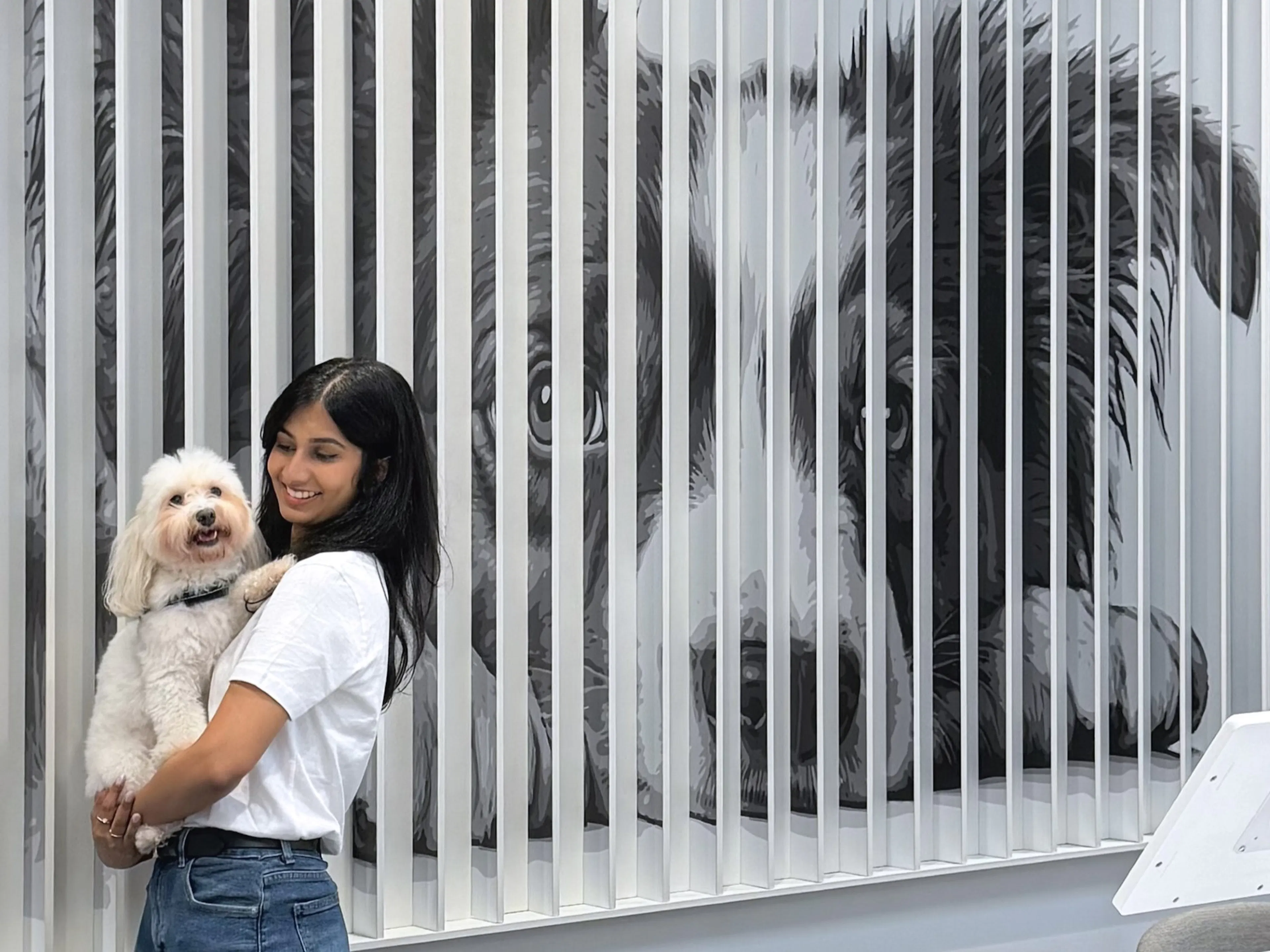 Manhattan Pet Adoption Center — 7