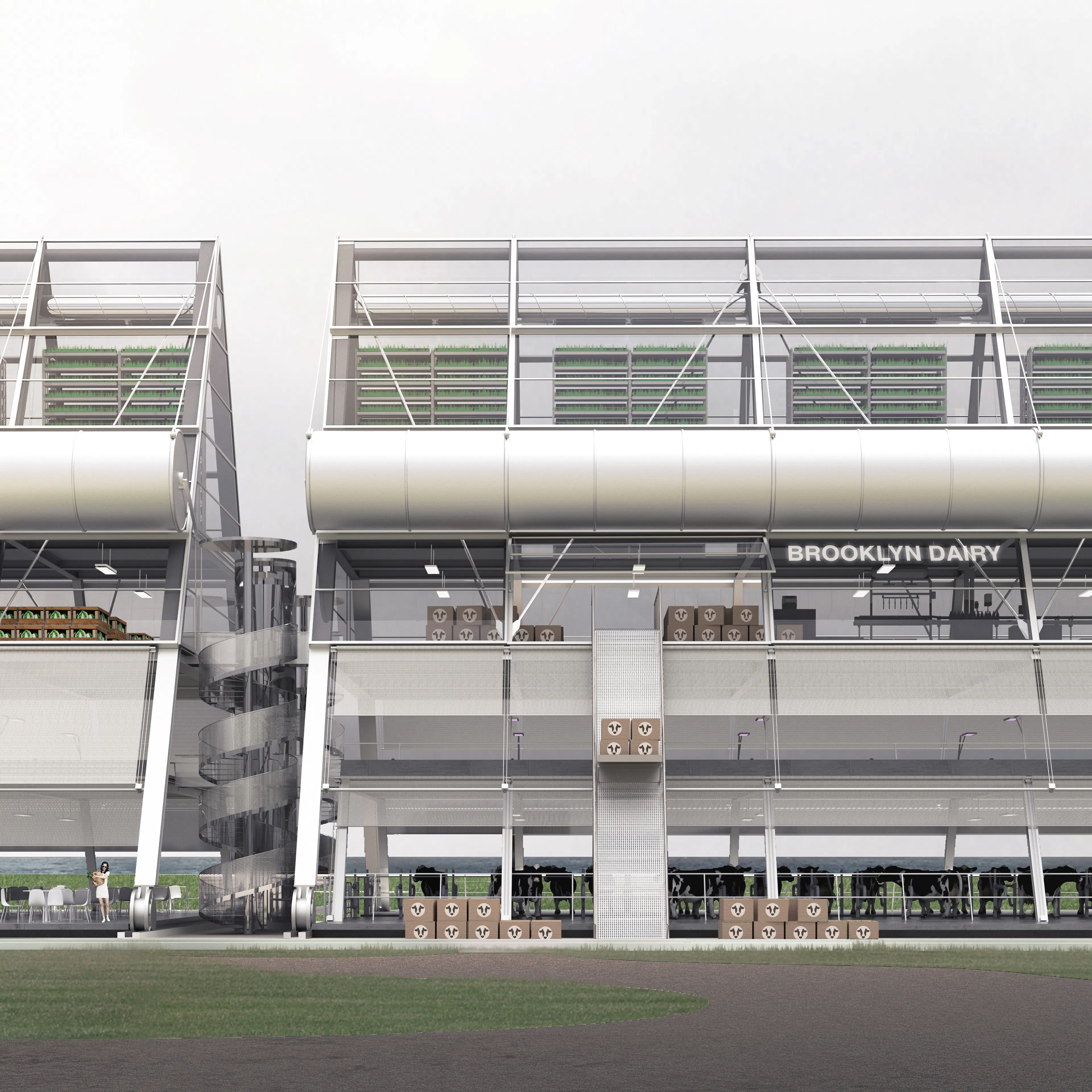 Brooklyn Diary Project