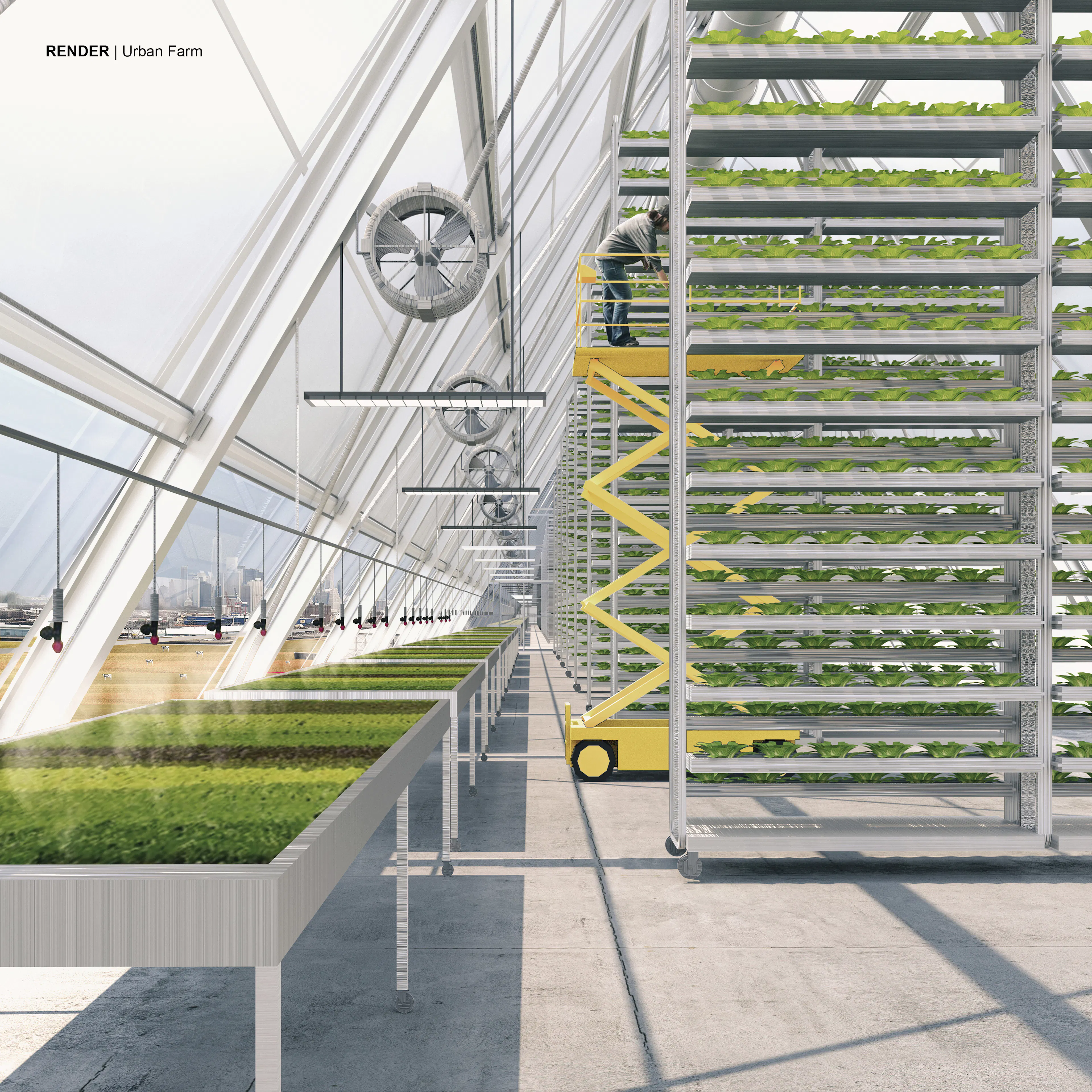 Brooklyn Diary Project — 5