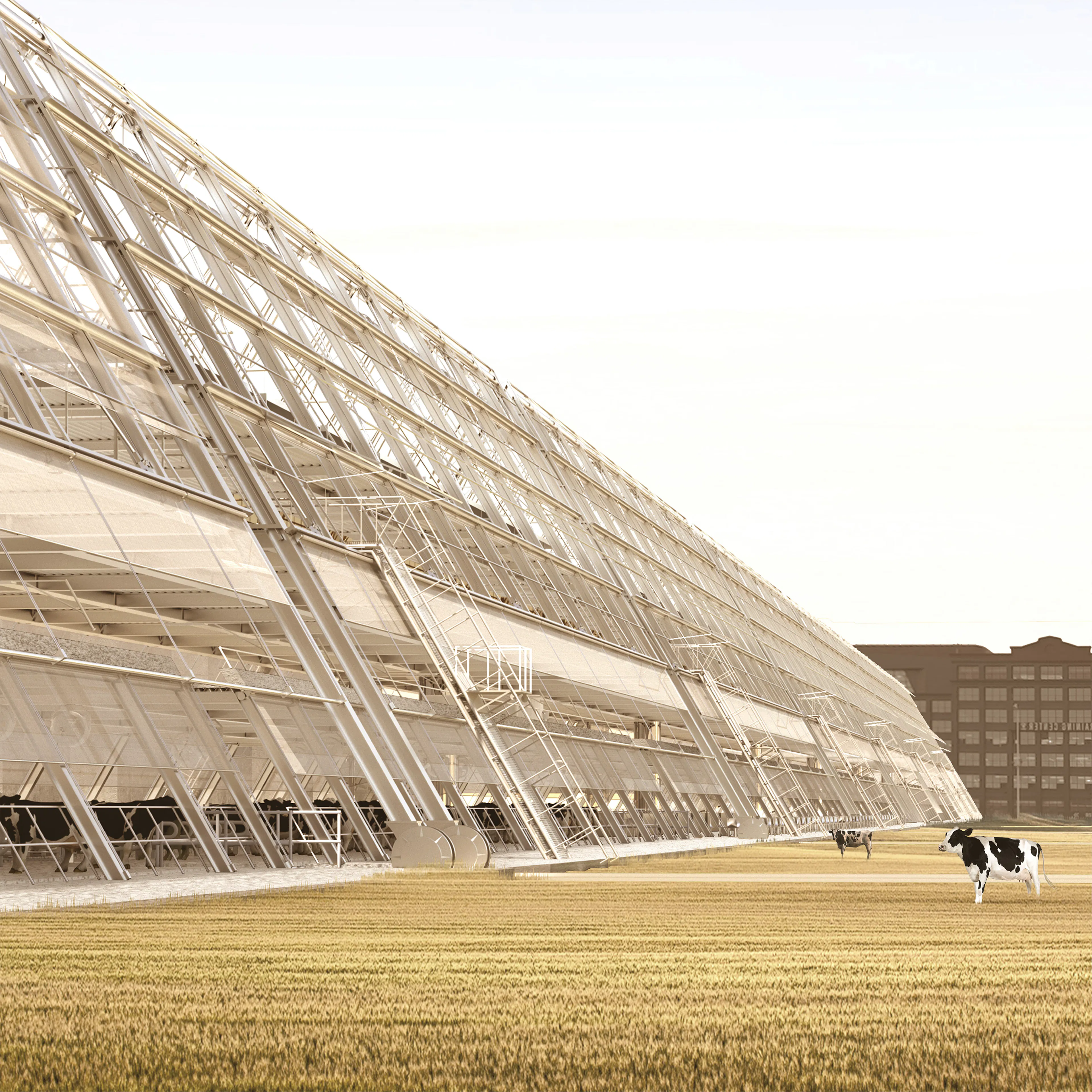 Brooklyn Diary Project — 9