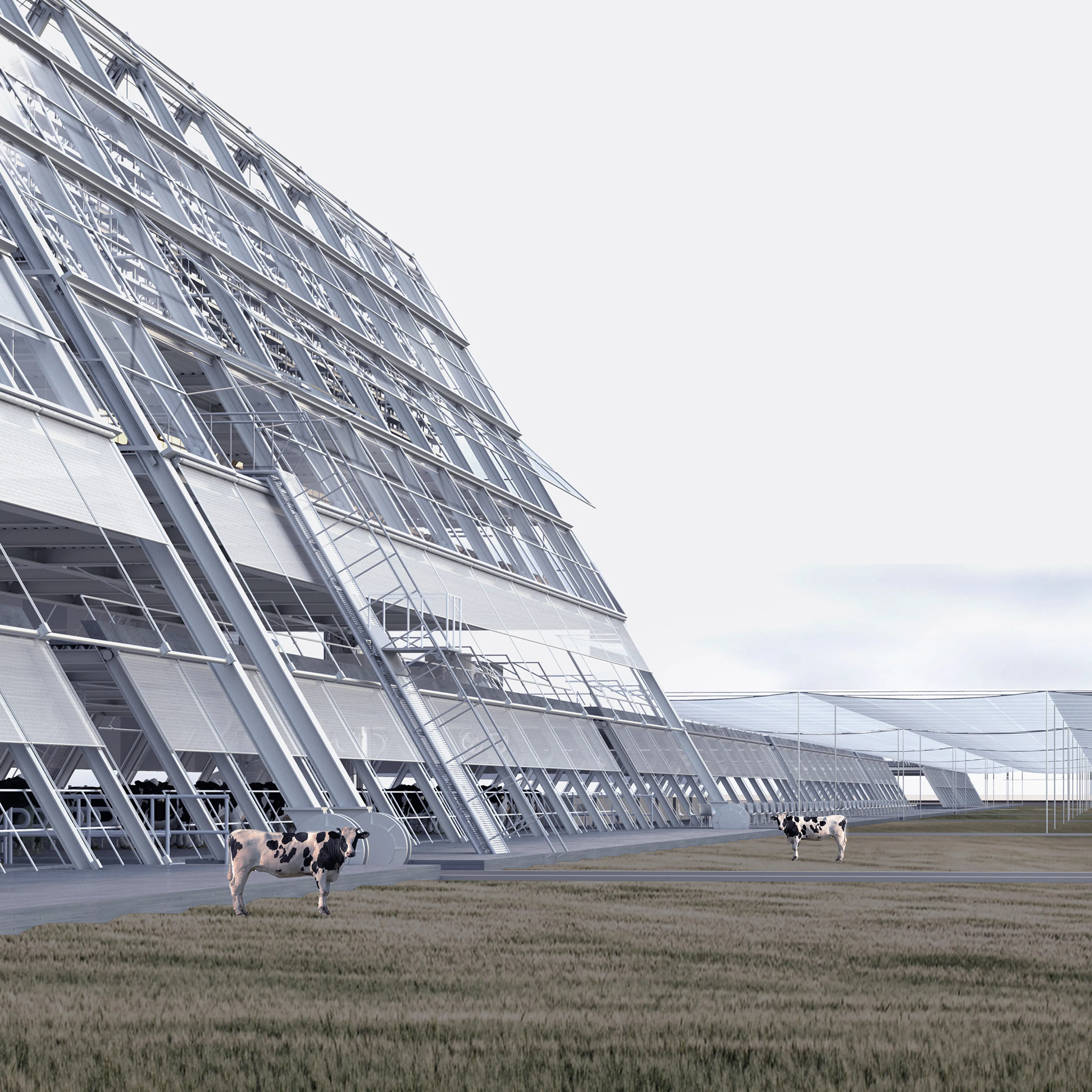 Brooklyn Diary Project — 11