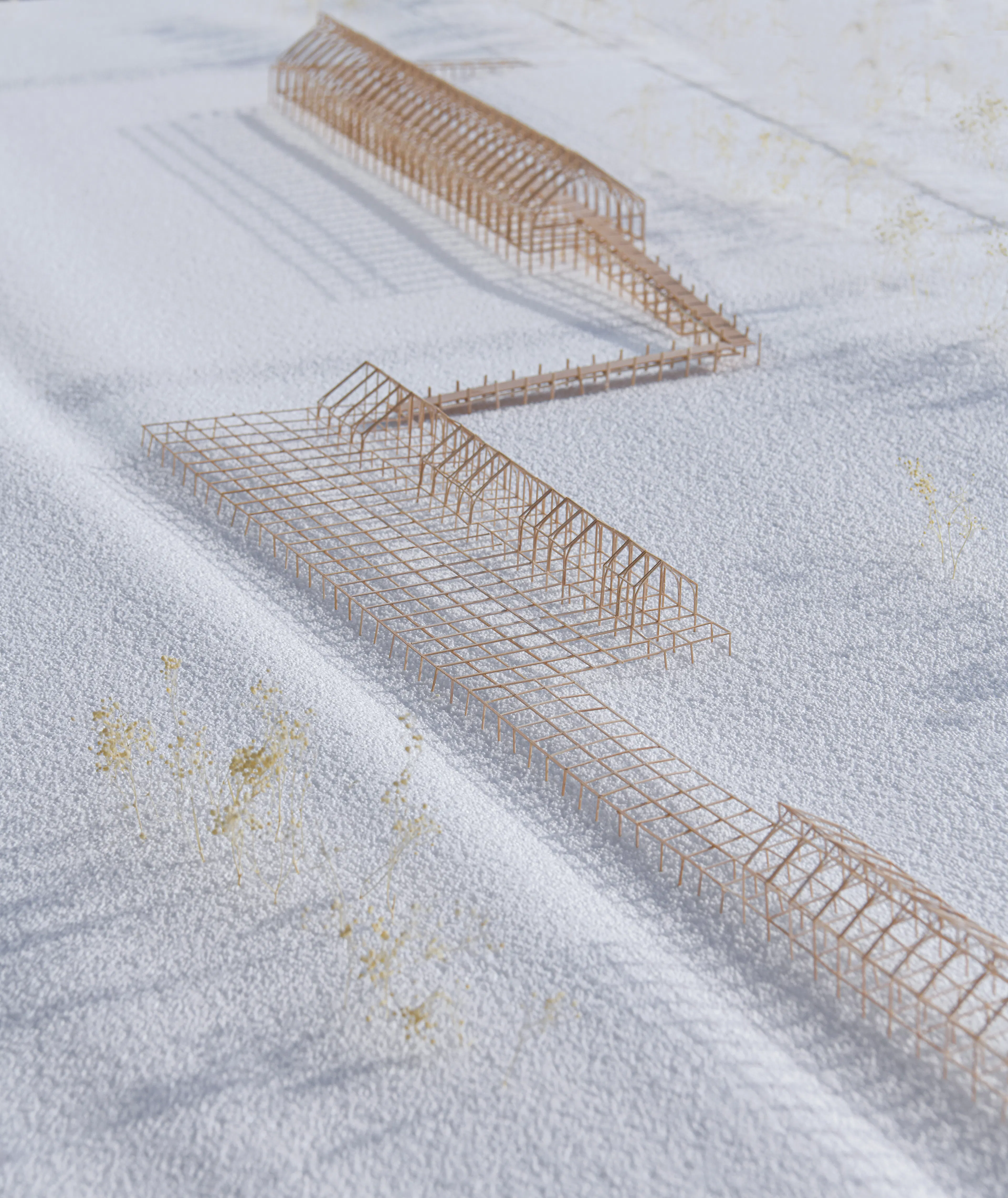 Indigenous Canoe Museum — 1