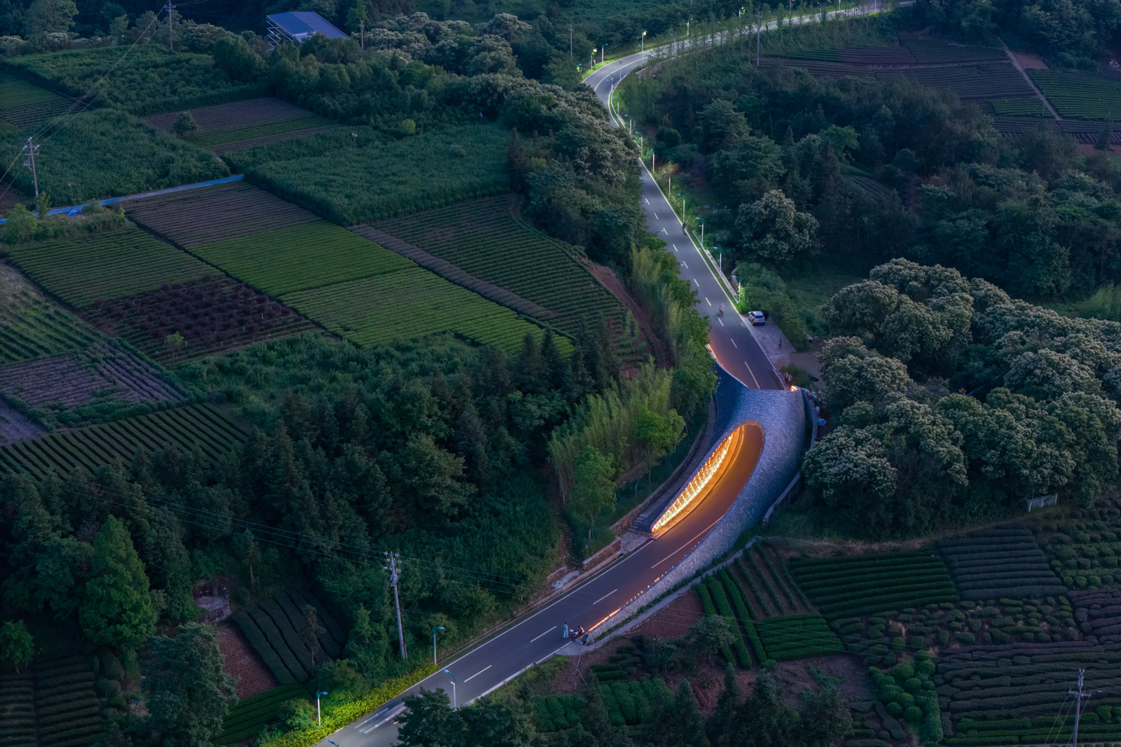 Woven Passage to Cloudy Peaks — 1