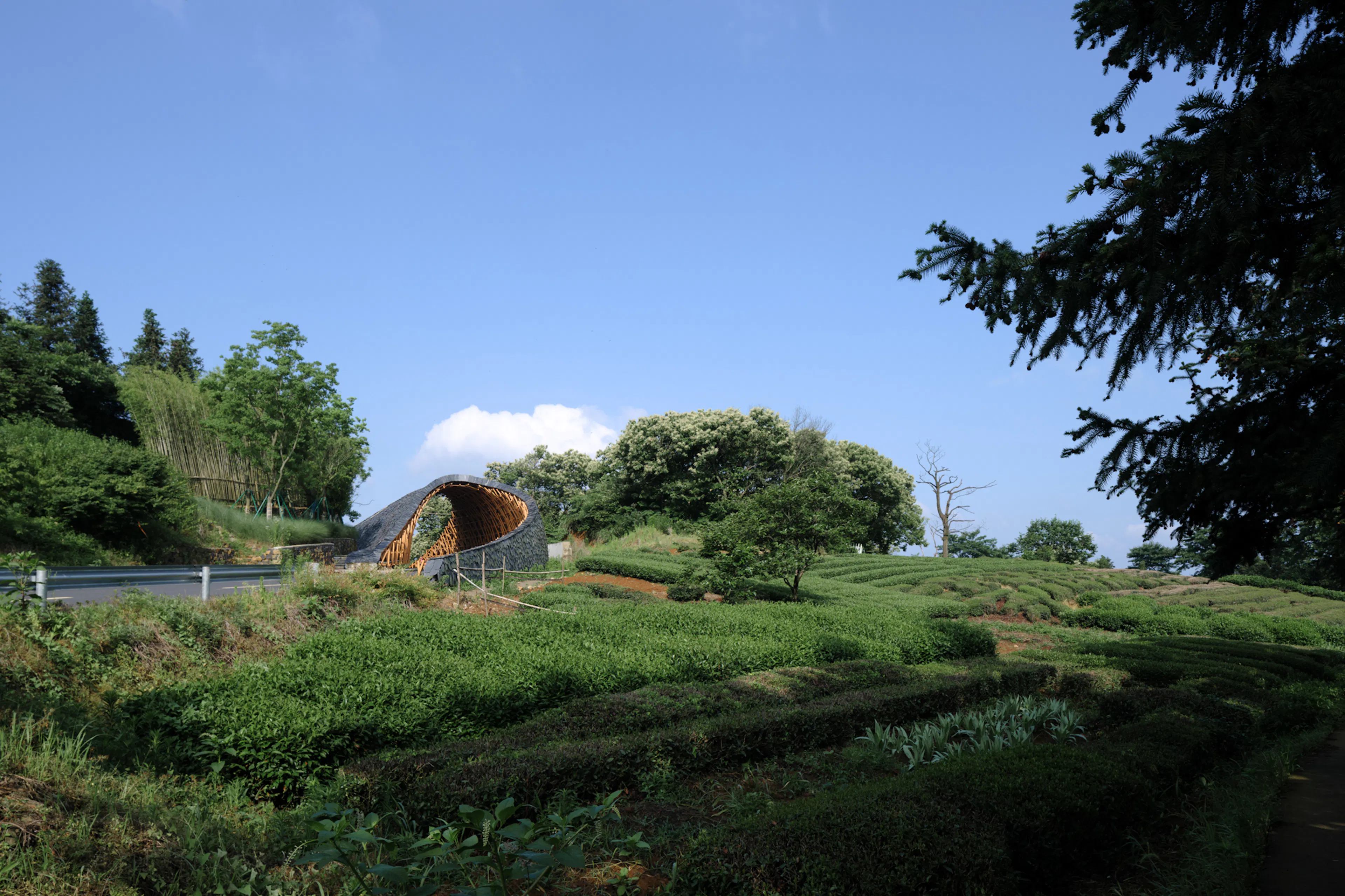 Woven Passage to Cloudy Peaks — 5