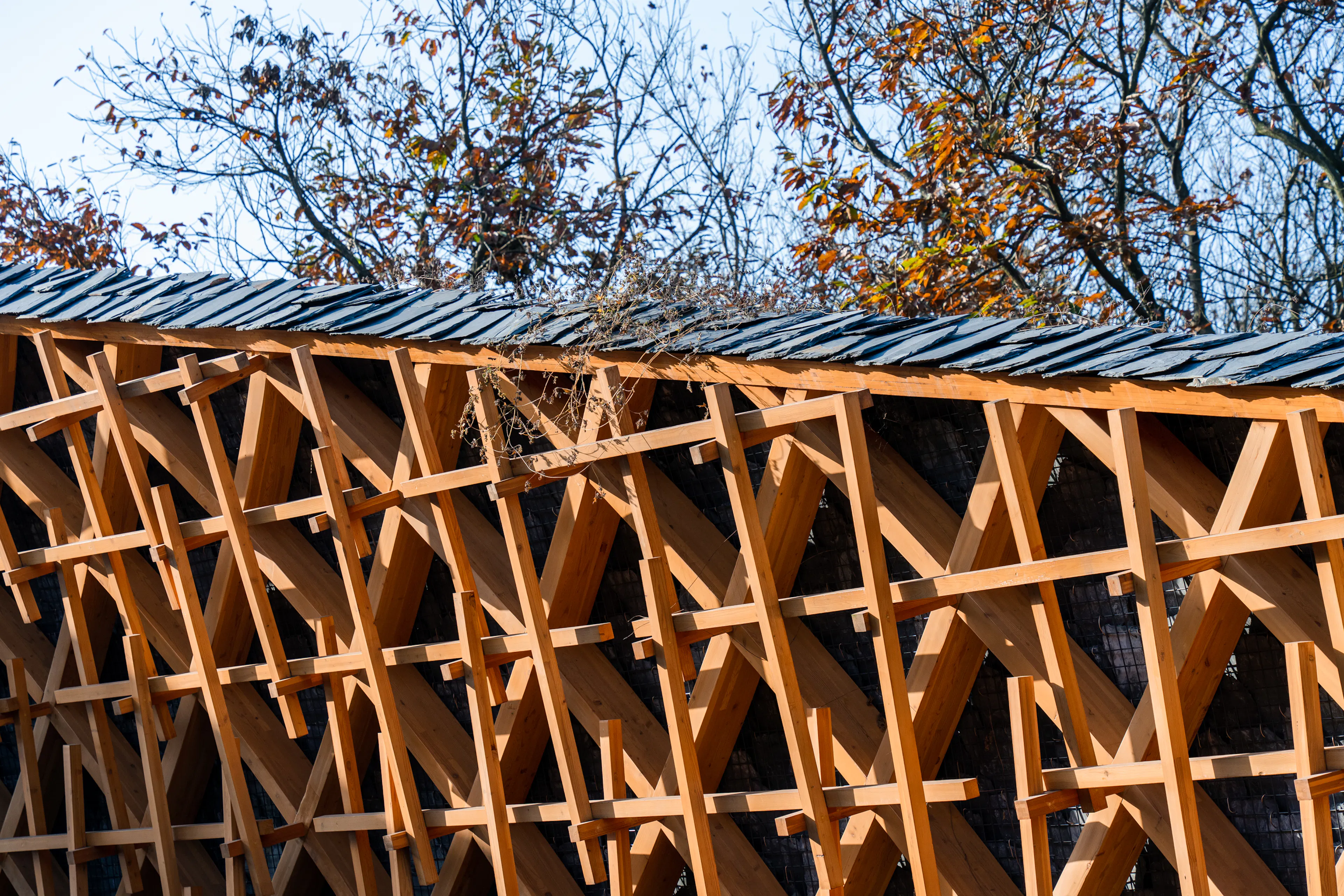 Woven Passage to Cloudy Peaks — 7