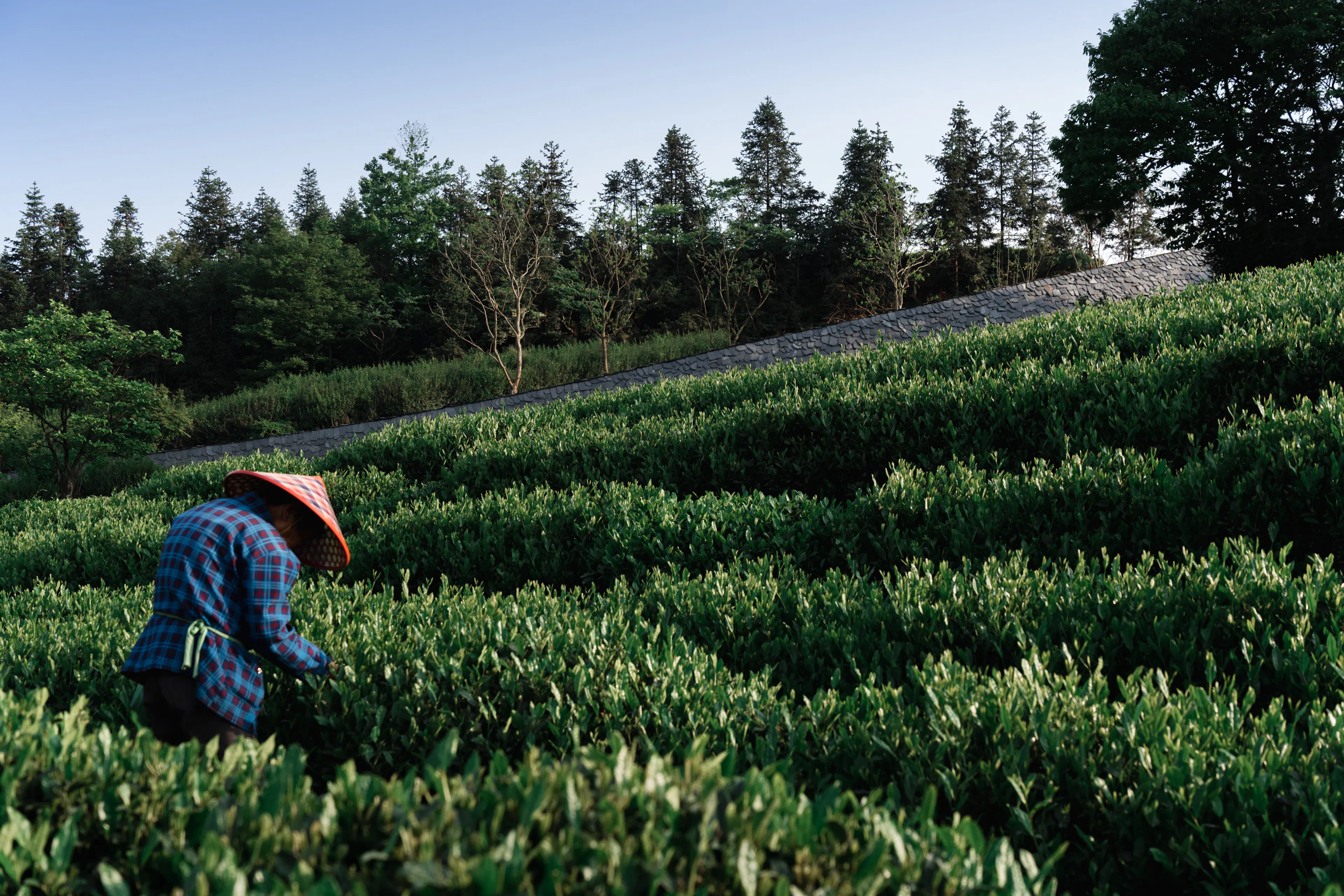 Woven Passage to Cloudy Peaks — 8