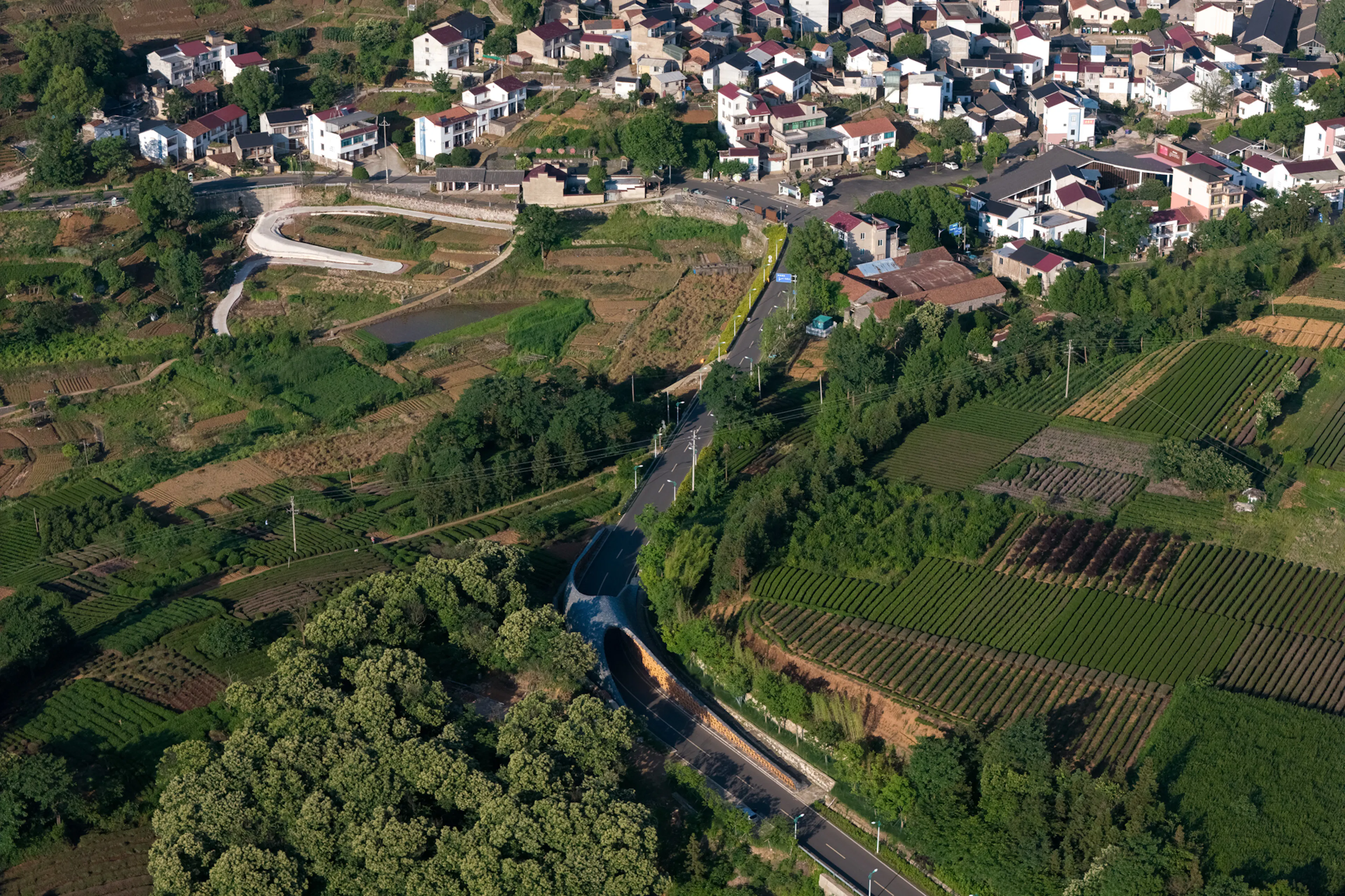 Woven Passage to Cloudy Peaks — 10