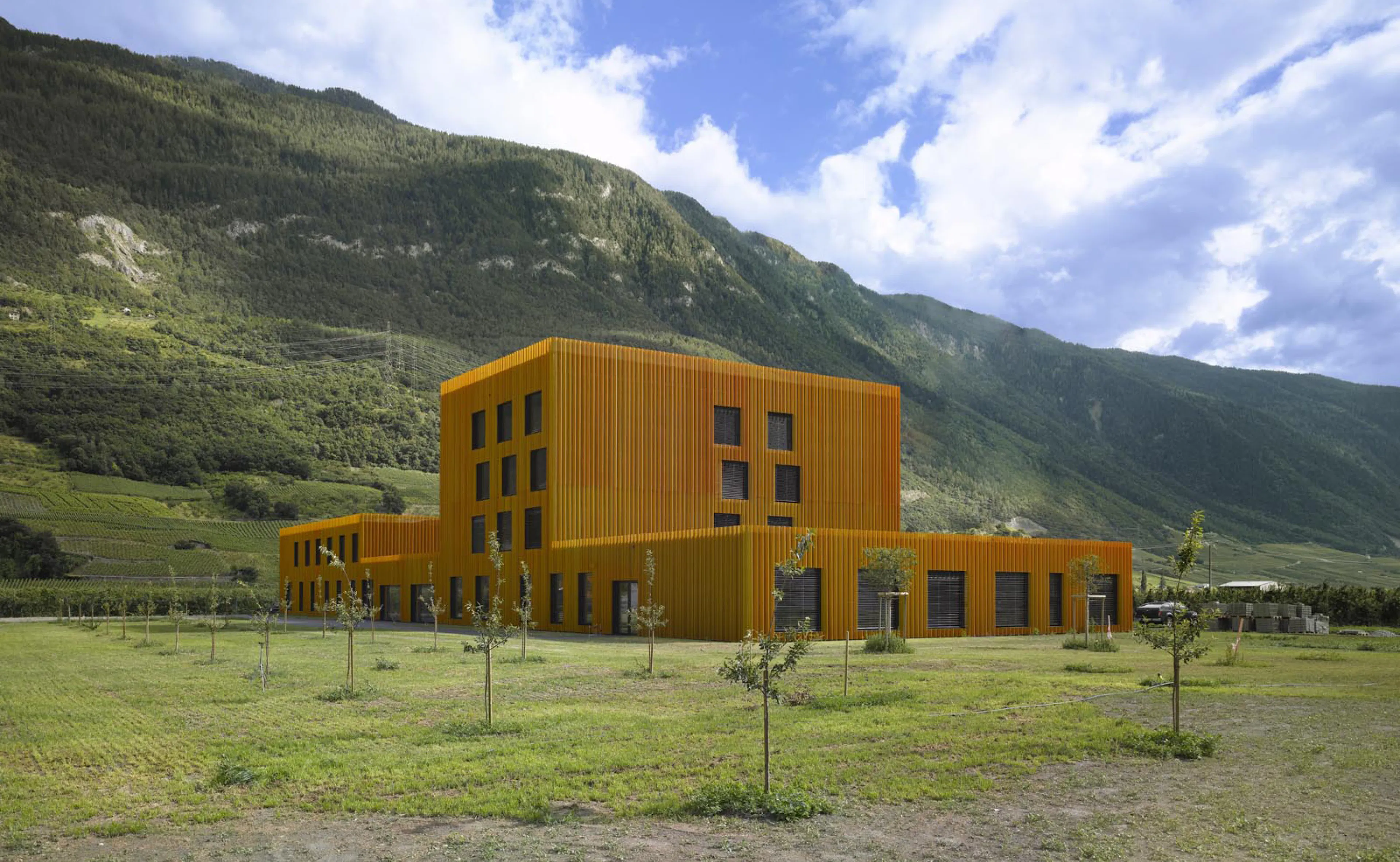 BOV / Extension Primary School — 23