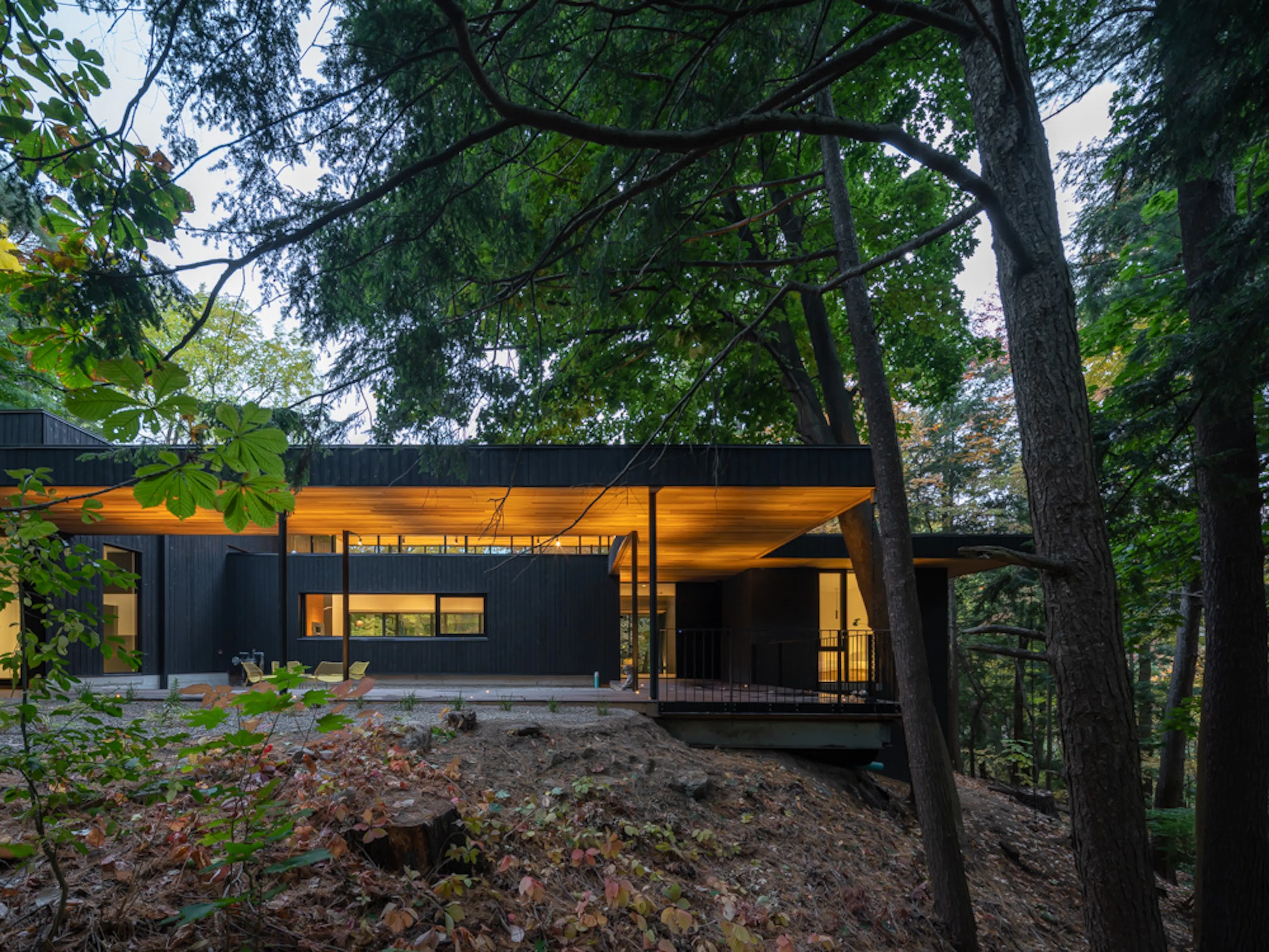 Ravine House — 6