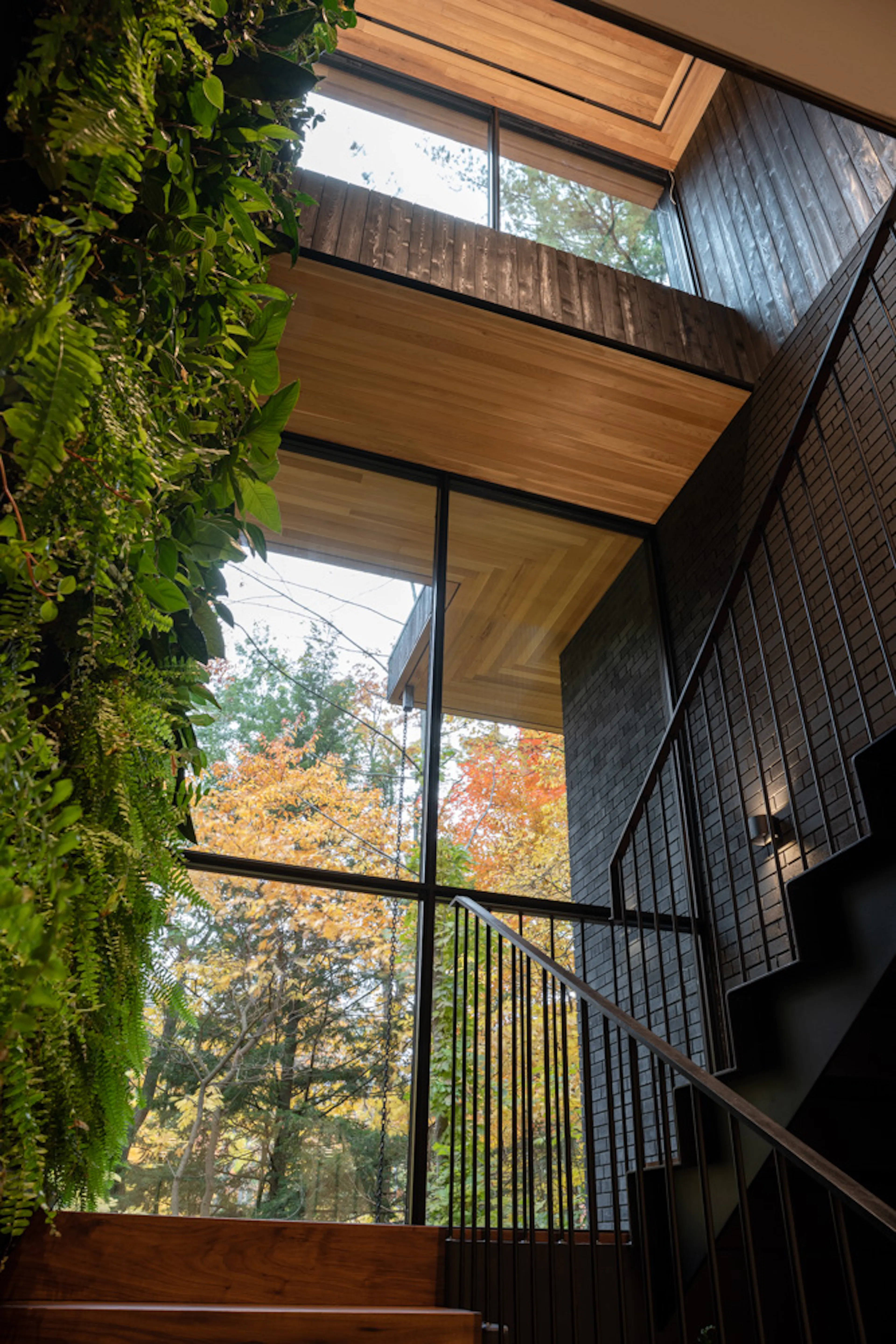 Ravine House — 11
