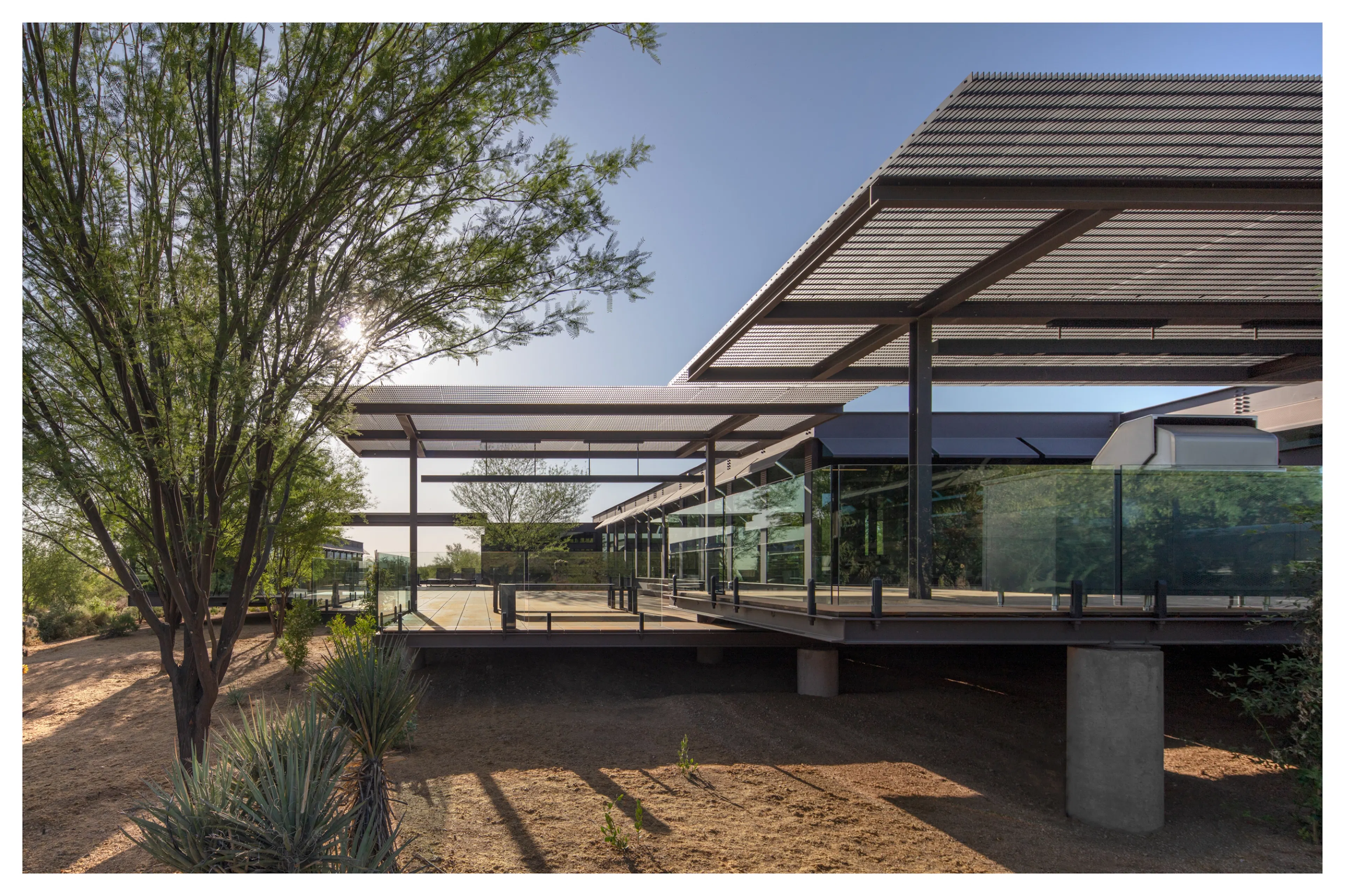 Optima DCHGlobal Arizona Courtyard House
