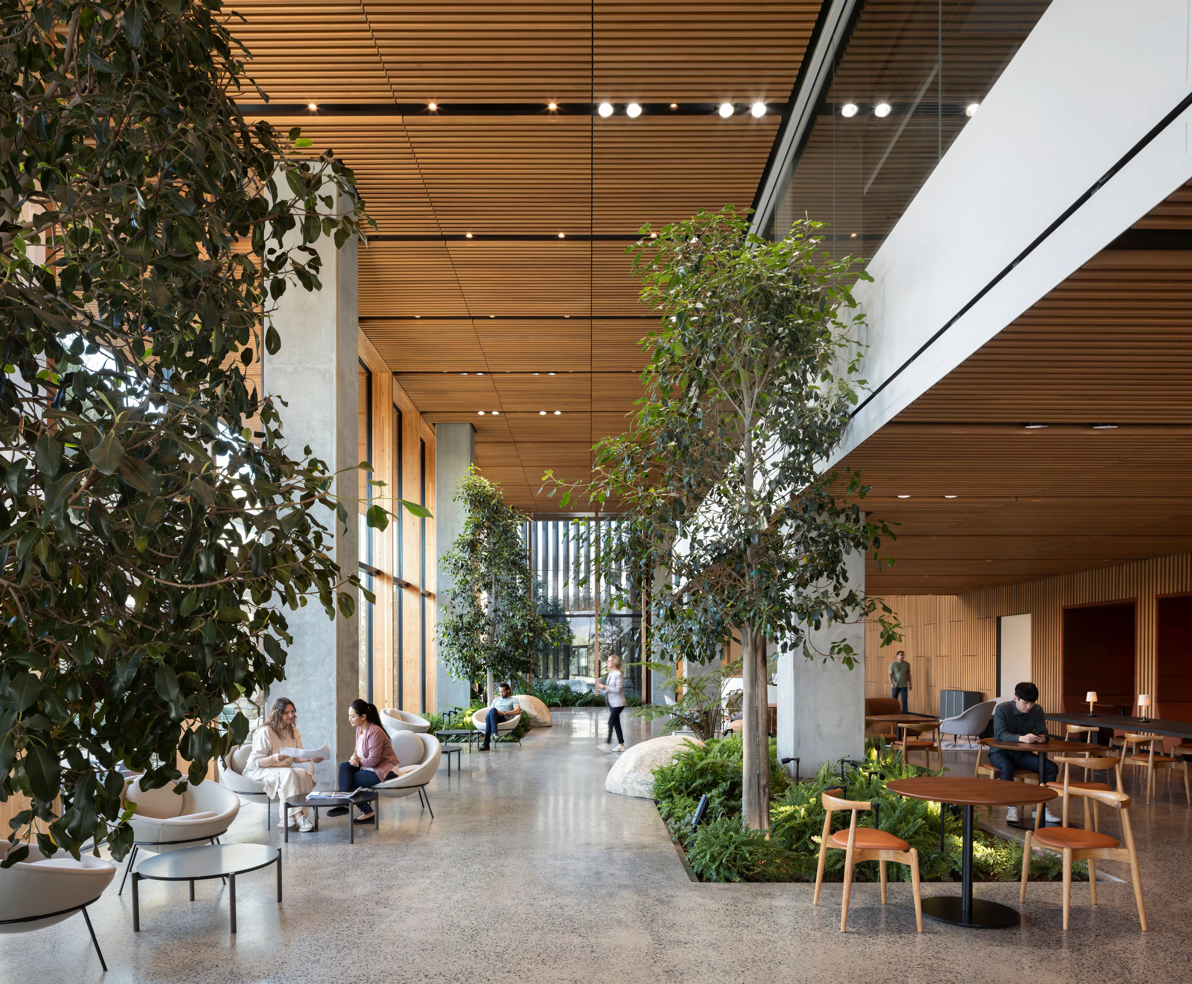 NBCUniversal Campus Project — 8