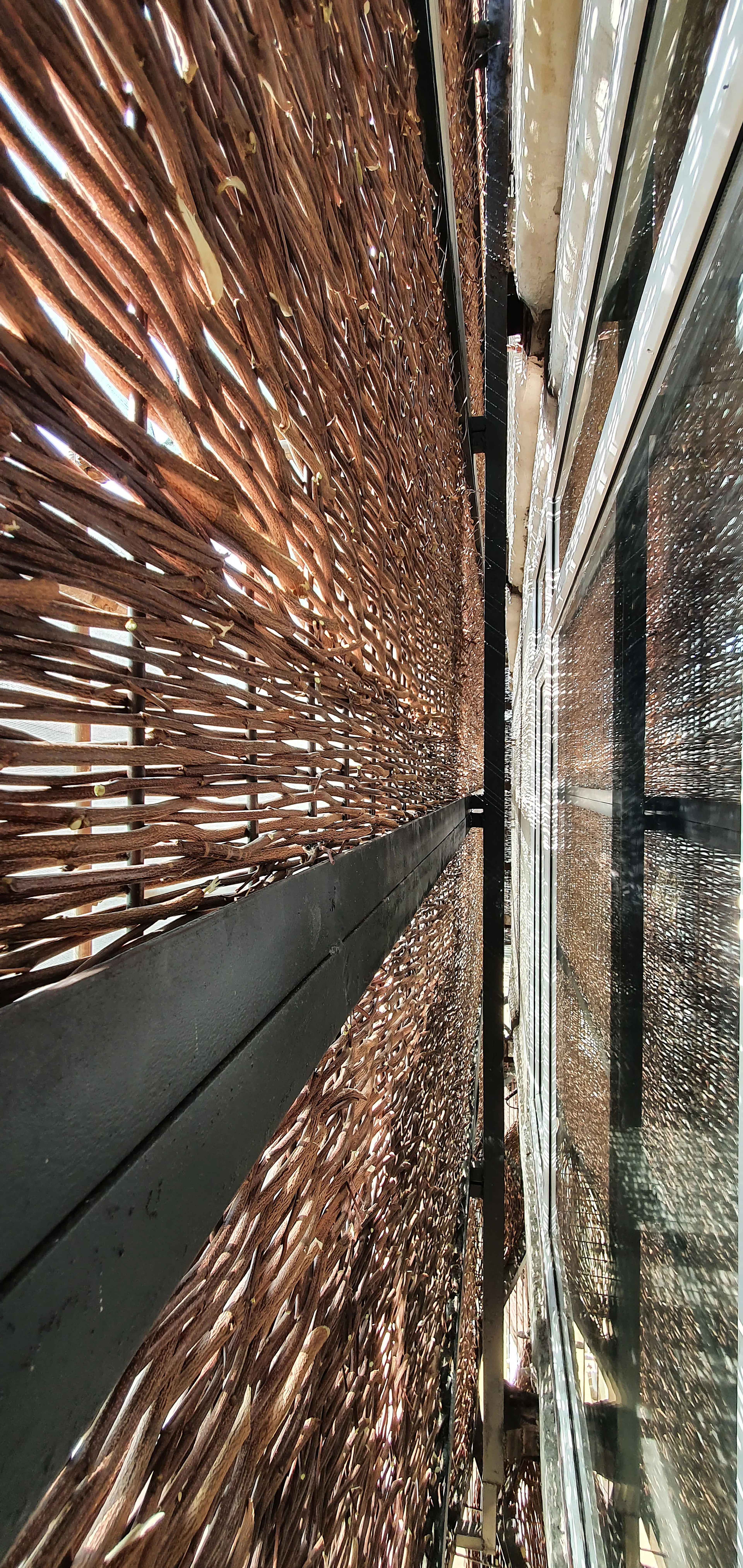 Arghavan (Cercis) Commercial Project — 20