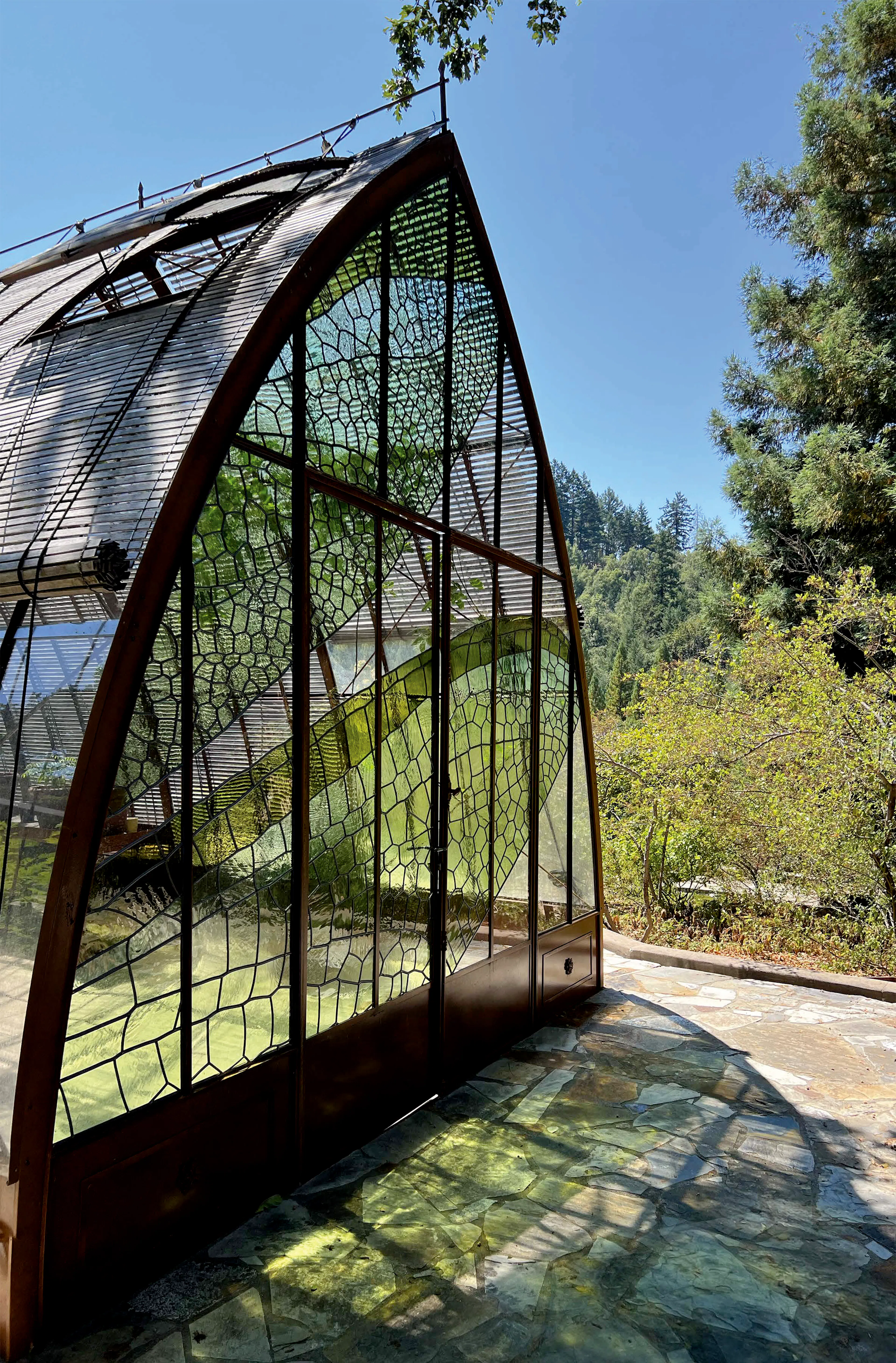 Diaphanous Greenhouse — 1