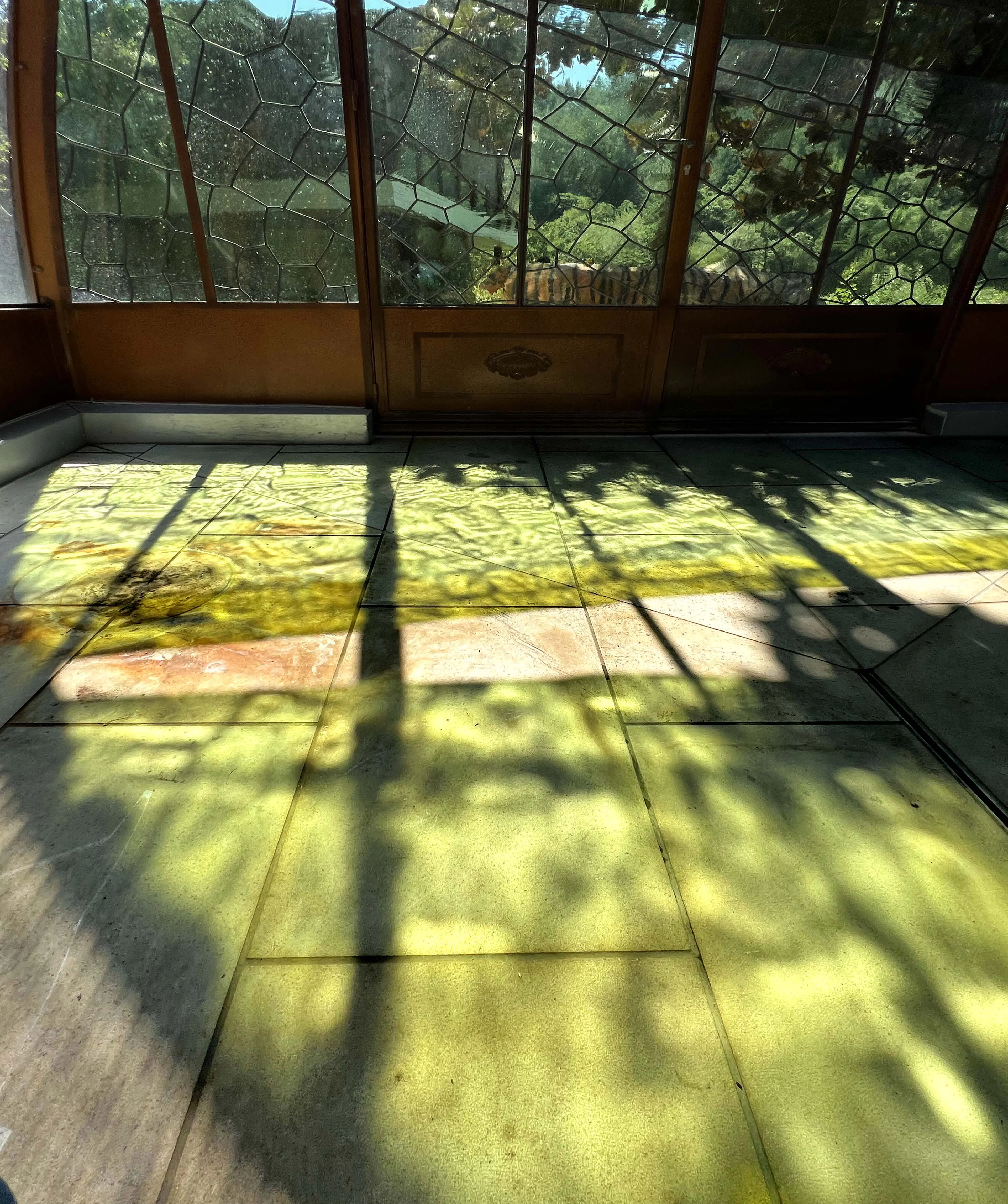 Diaphanous Greenhouse — 6