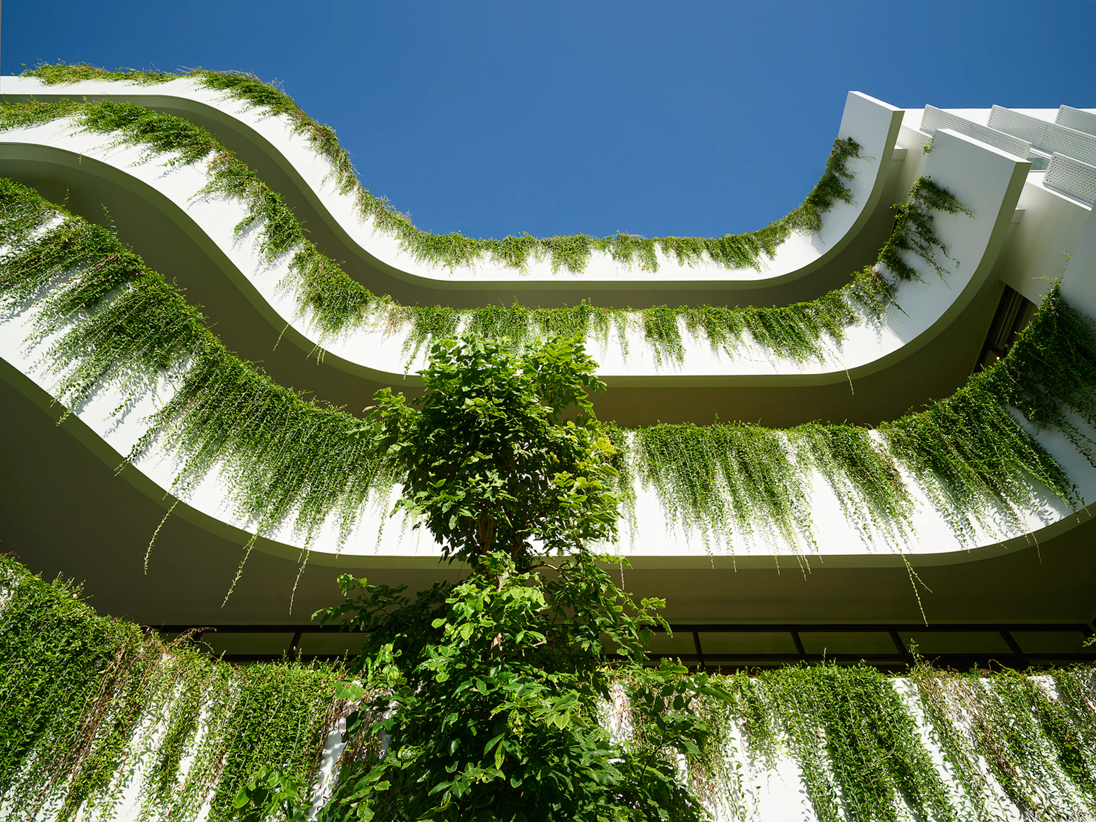 South Saigon International School — 13