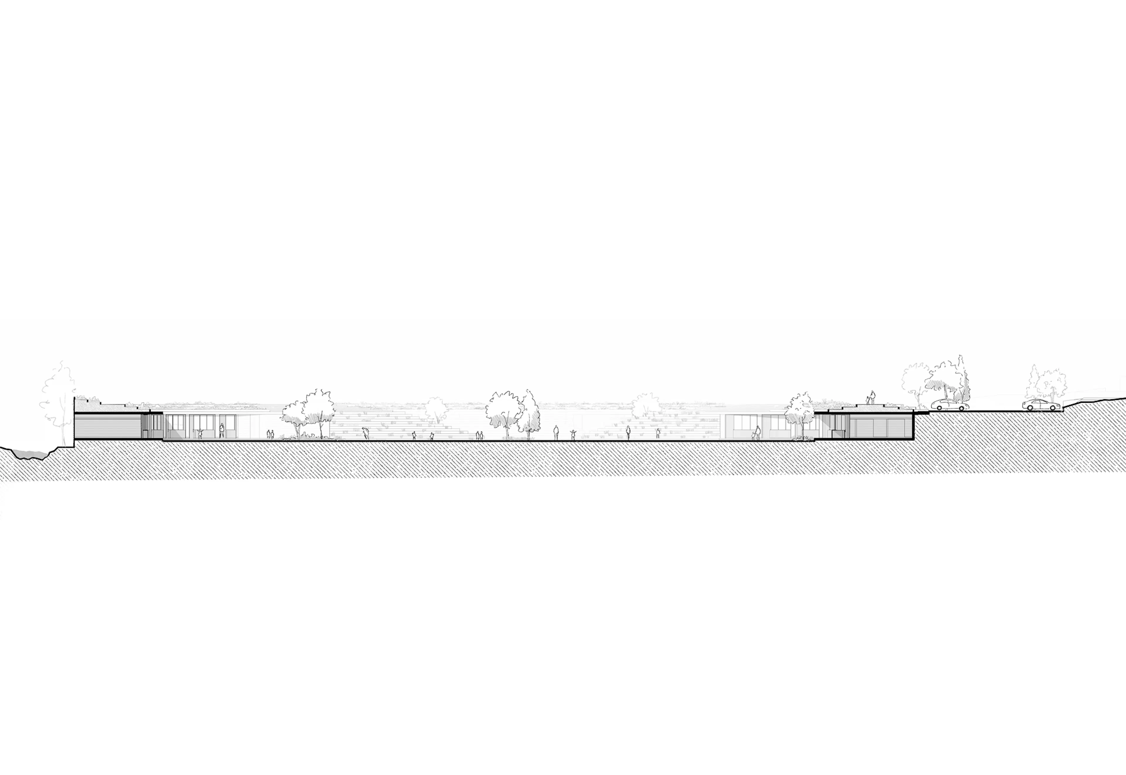 Canadian School — 11