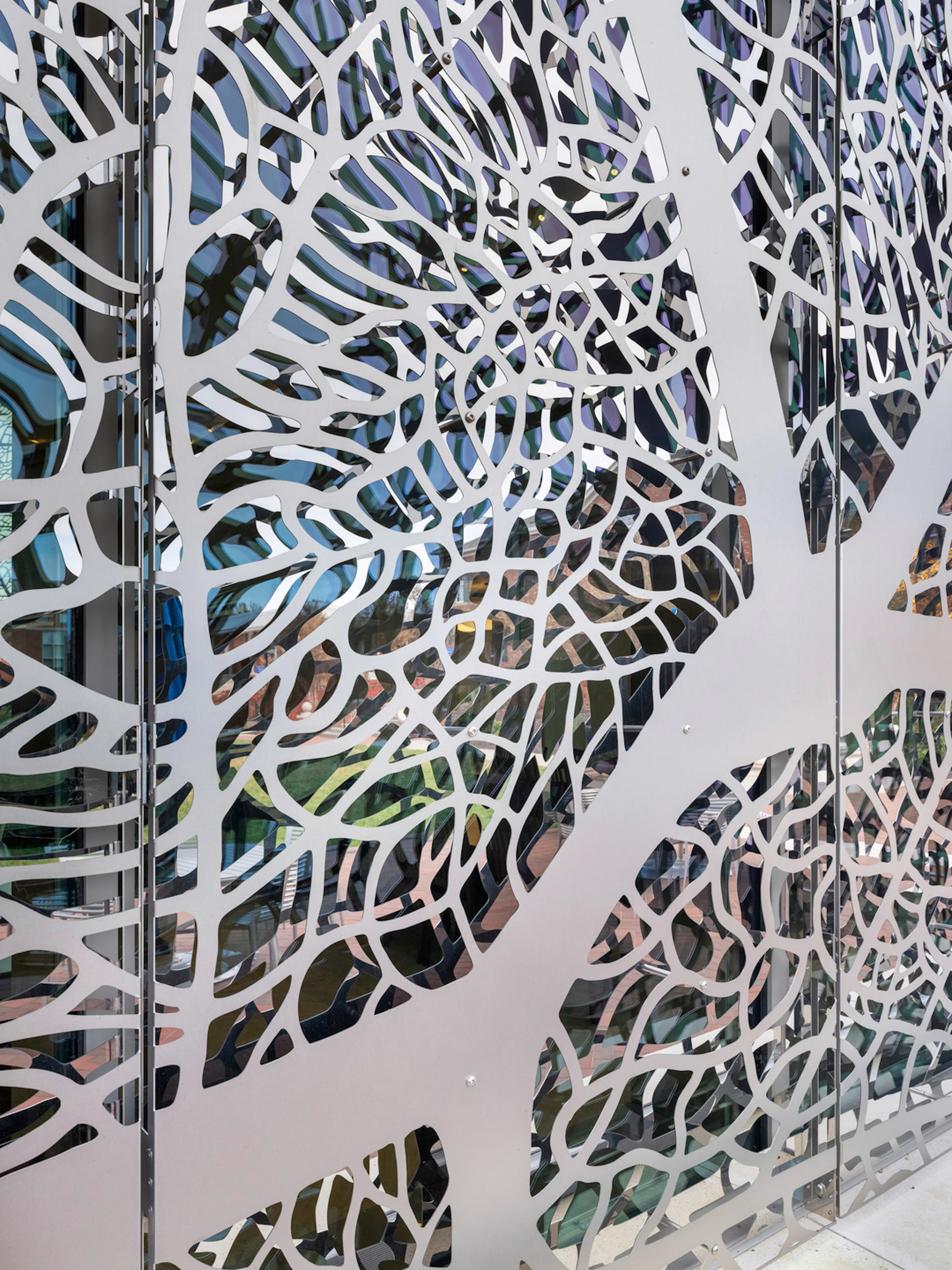 Pembroke Hill School — 14