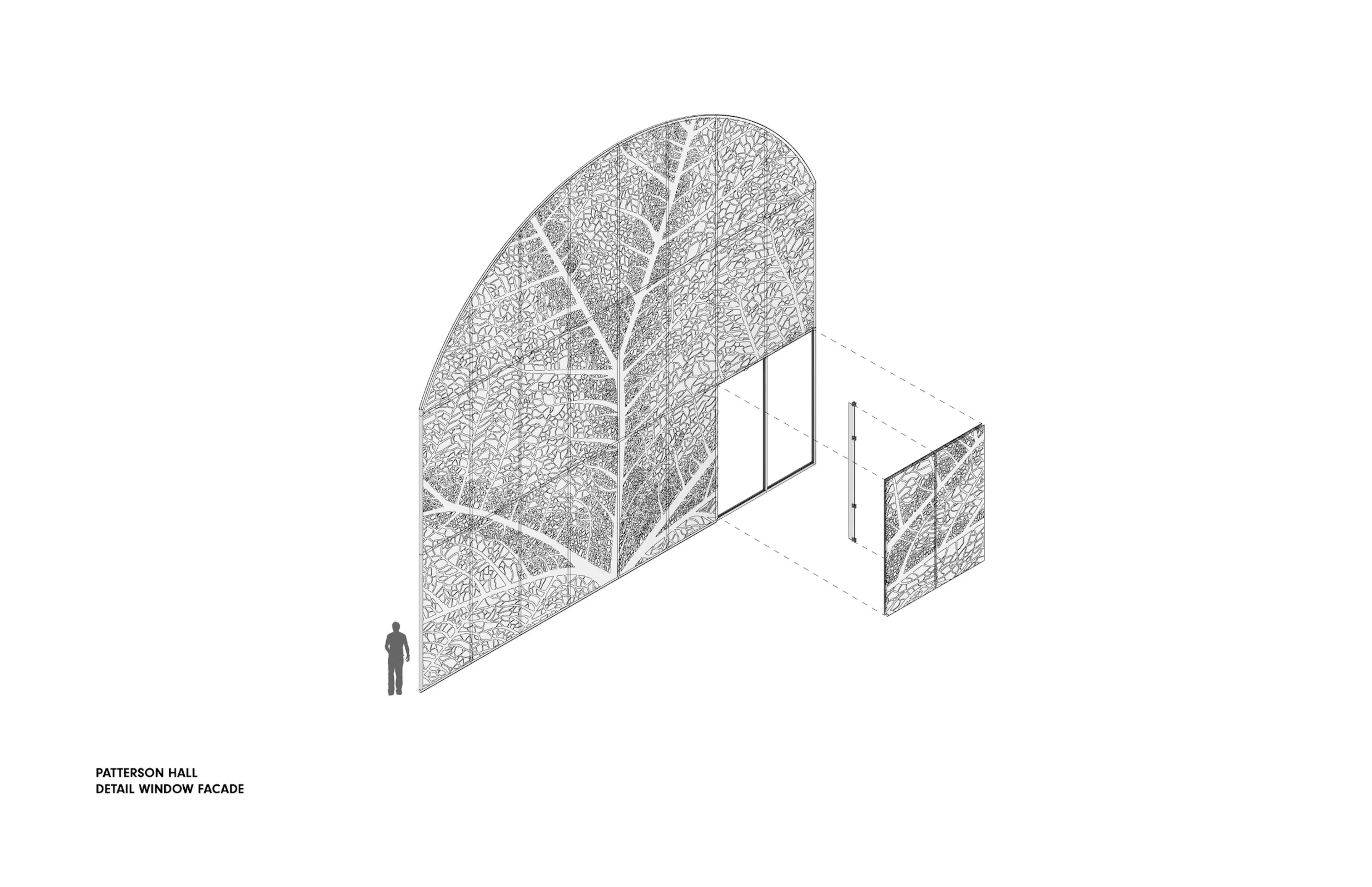 Pembroke Hill School — 16