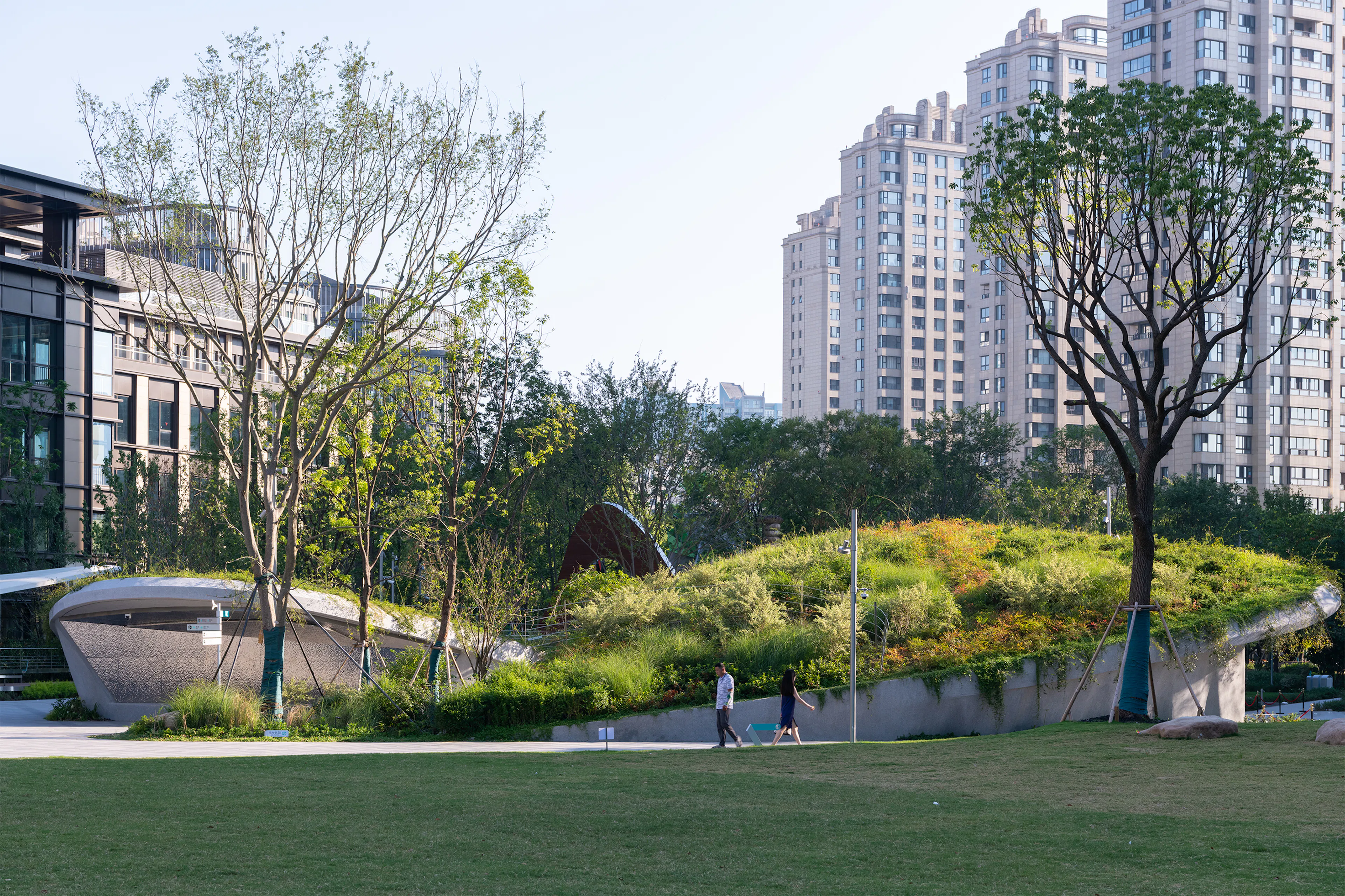 The Urban Carpet — 6