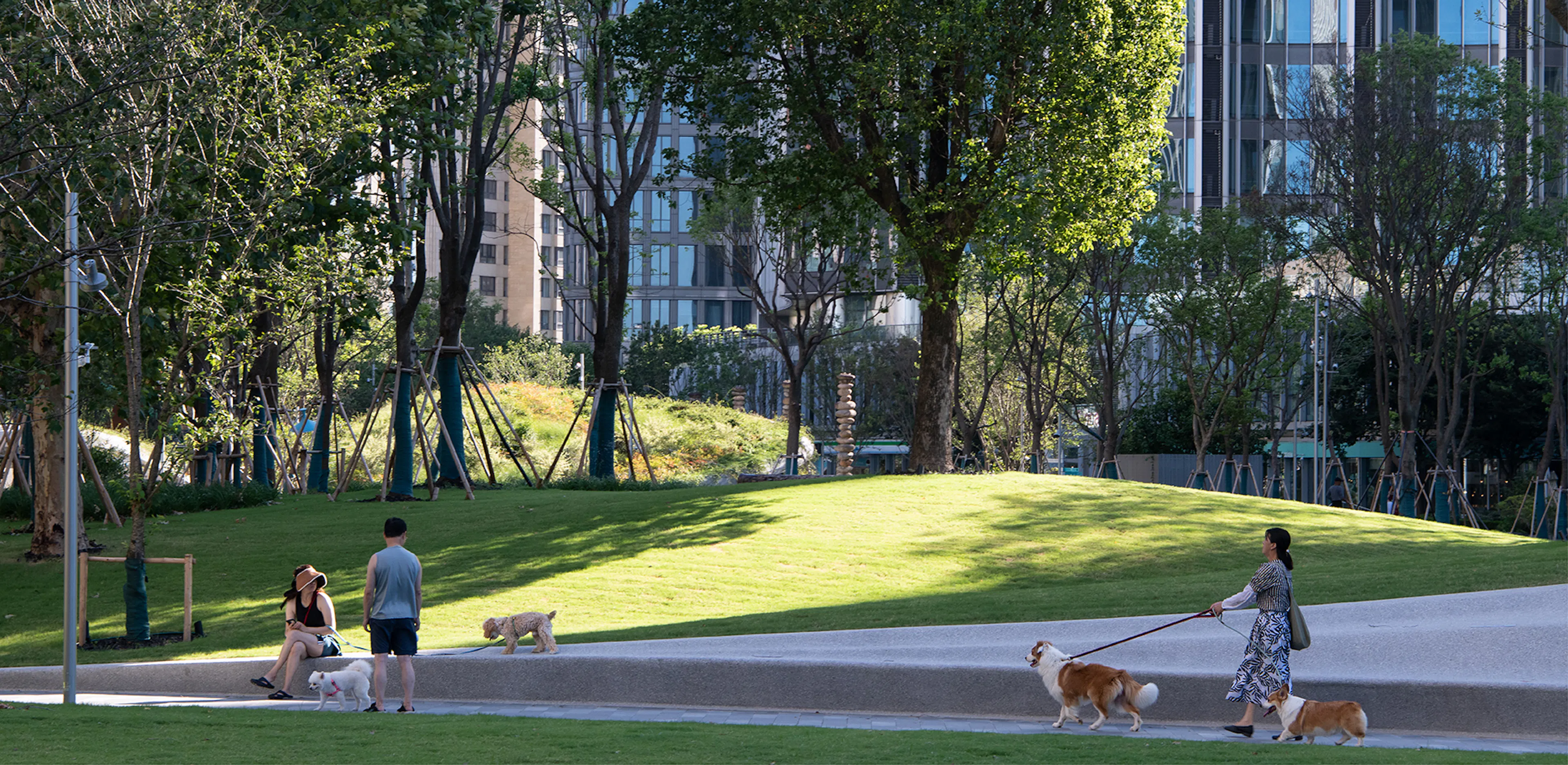 The Urban Carpet — 10