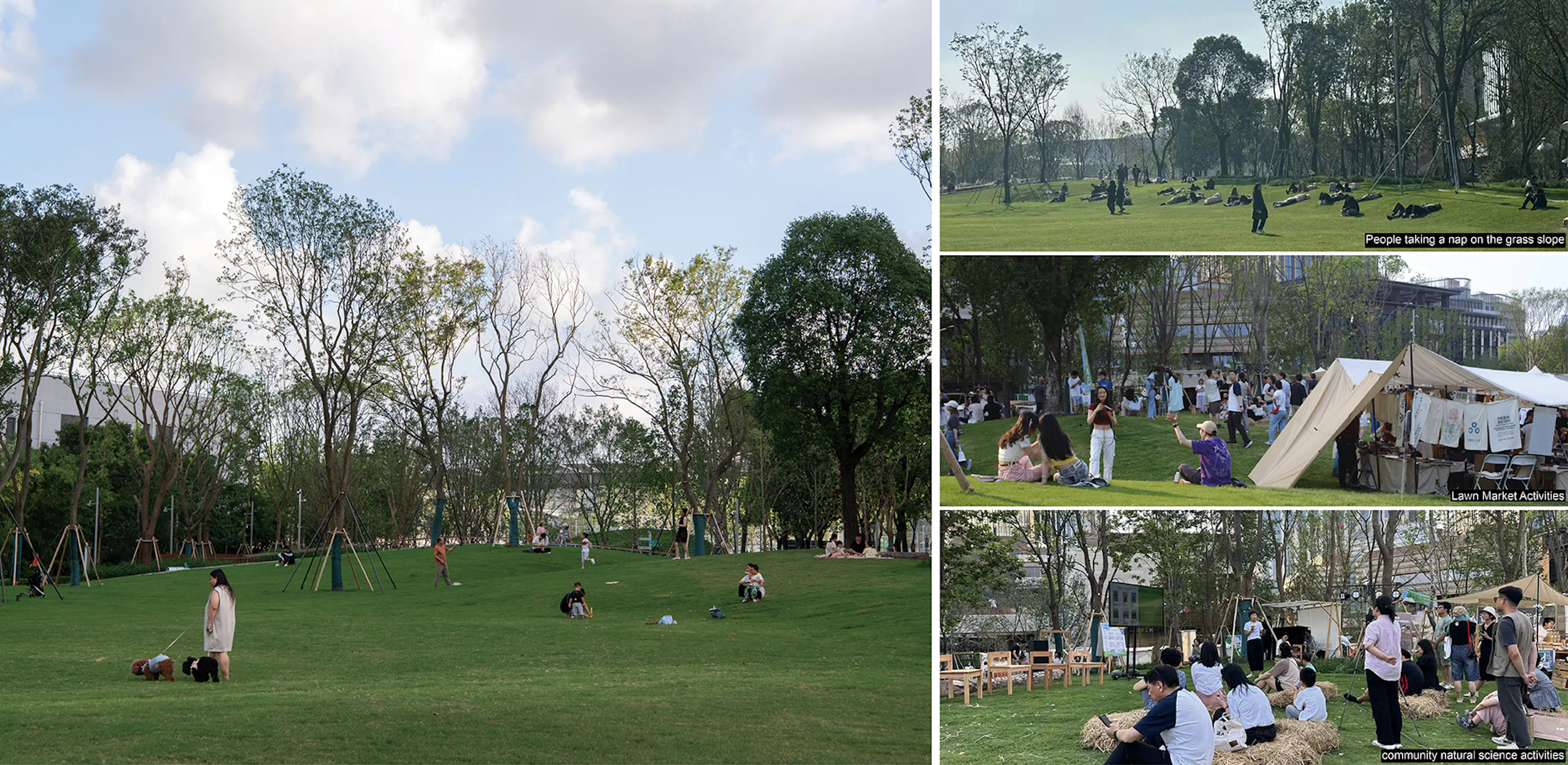 The Urban Carpet — 11