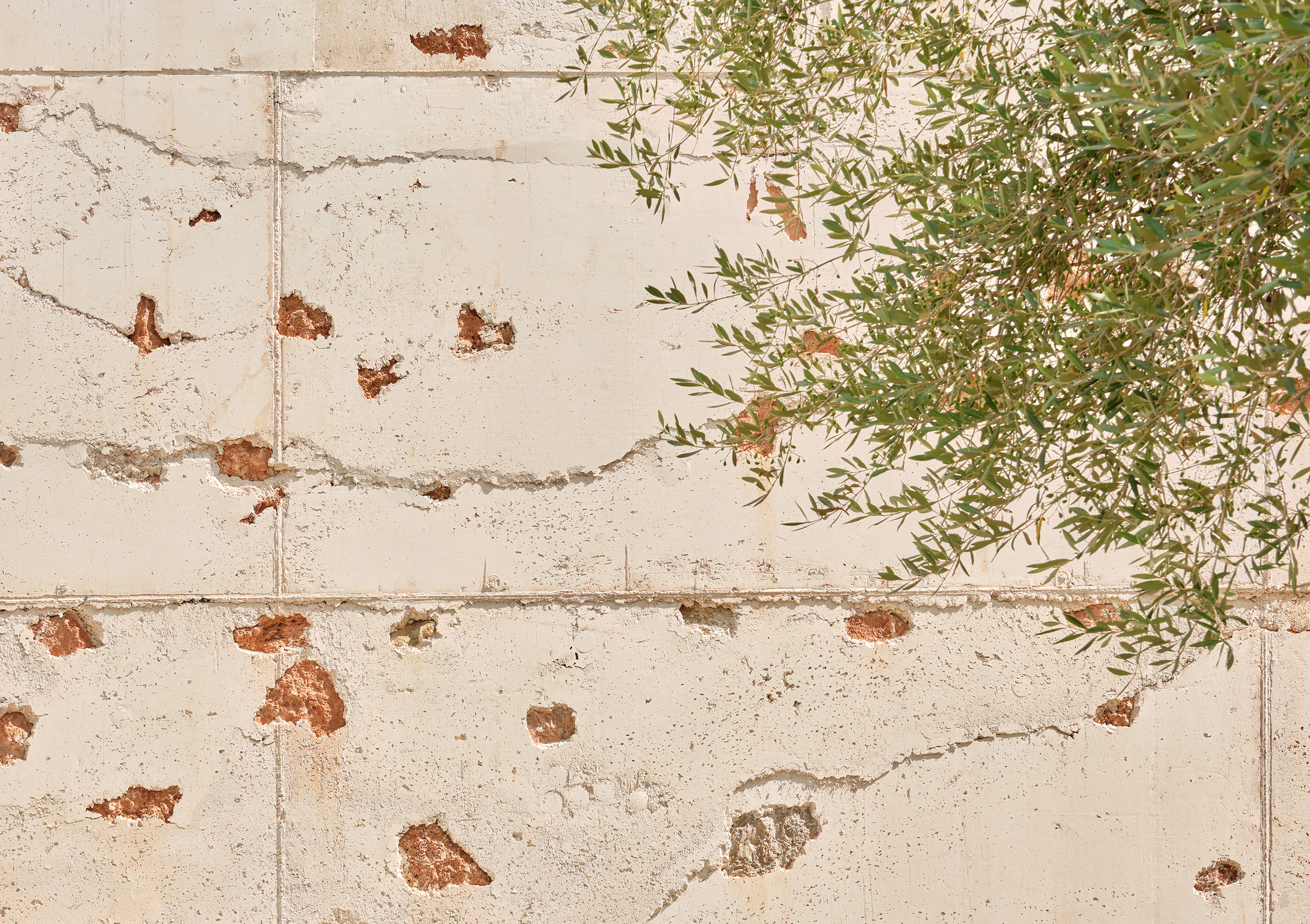 6 HPP Ses Veles Puigpunyent — 21