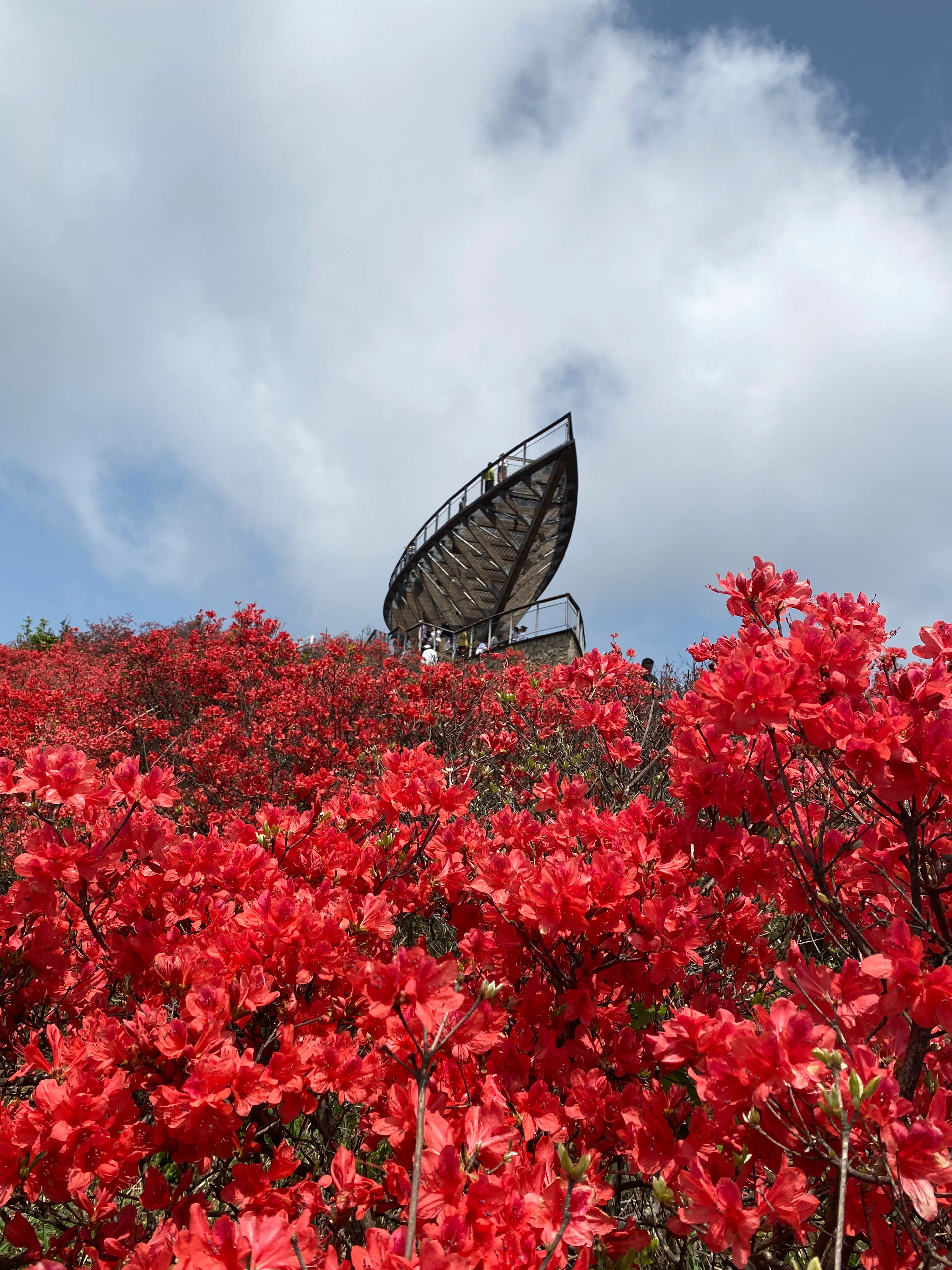 Sky Concert Hall — 15