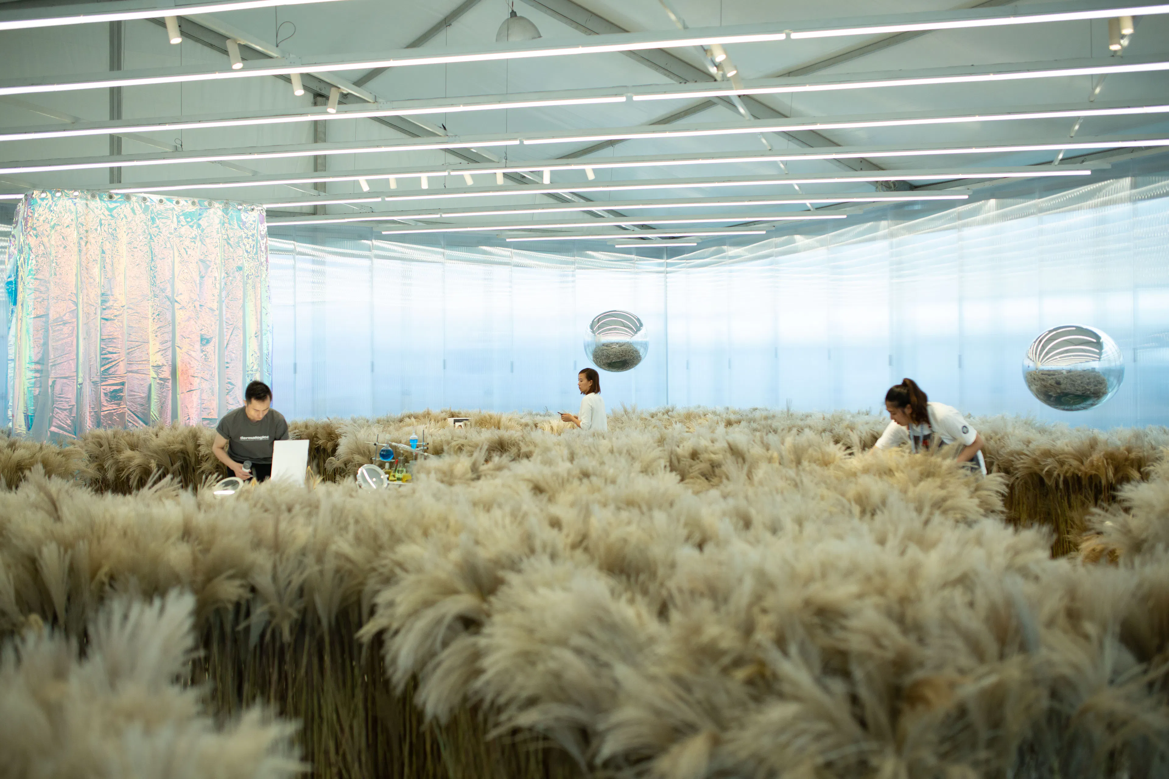 TX Black Market — 21