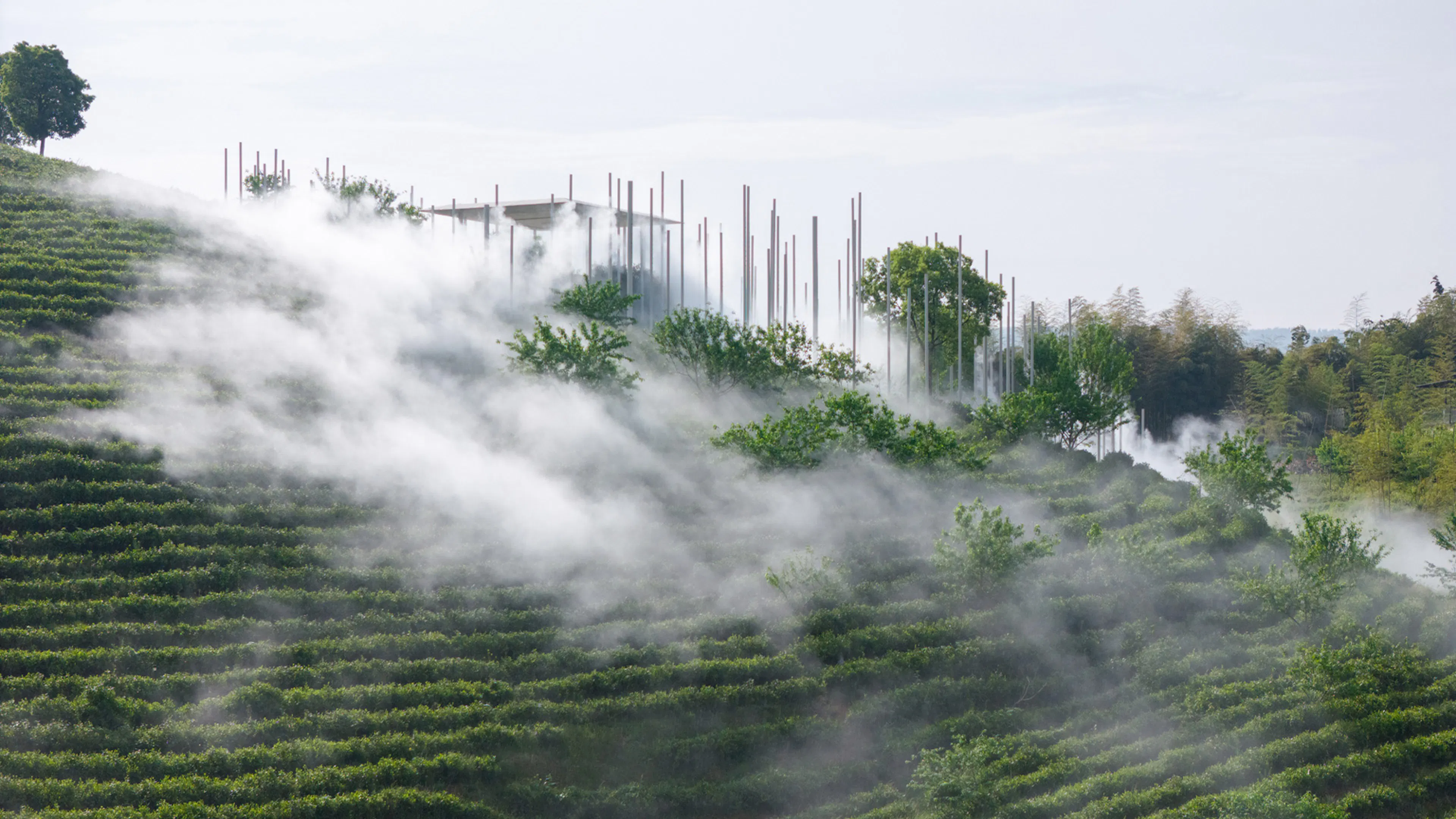 Dujiangyan Forest Resort Hotel — 16