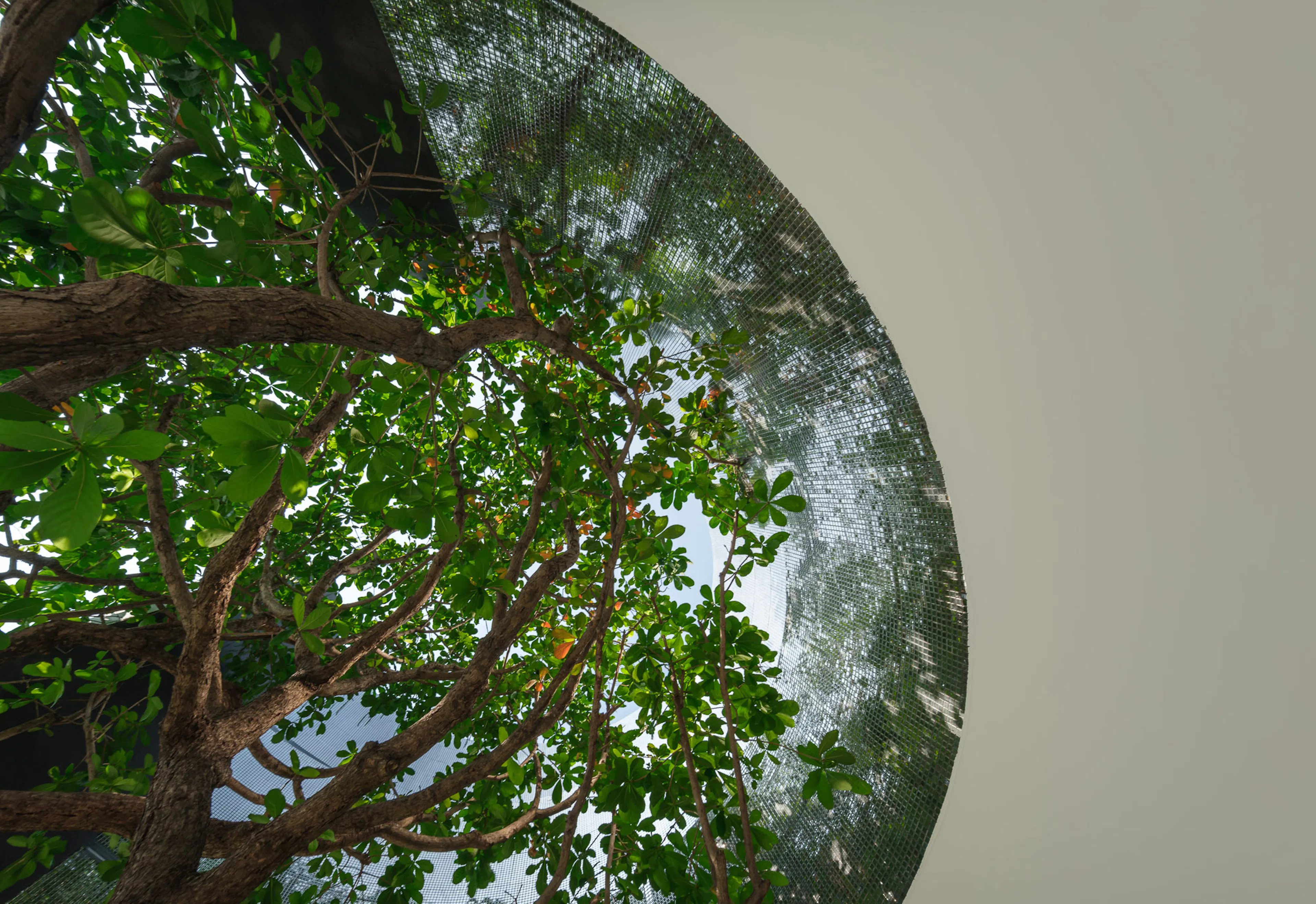 VV Desine Landscape Architecture