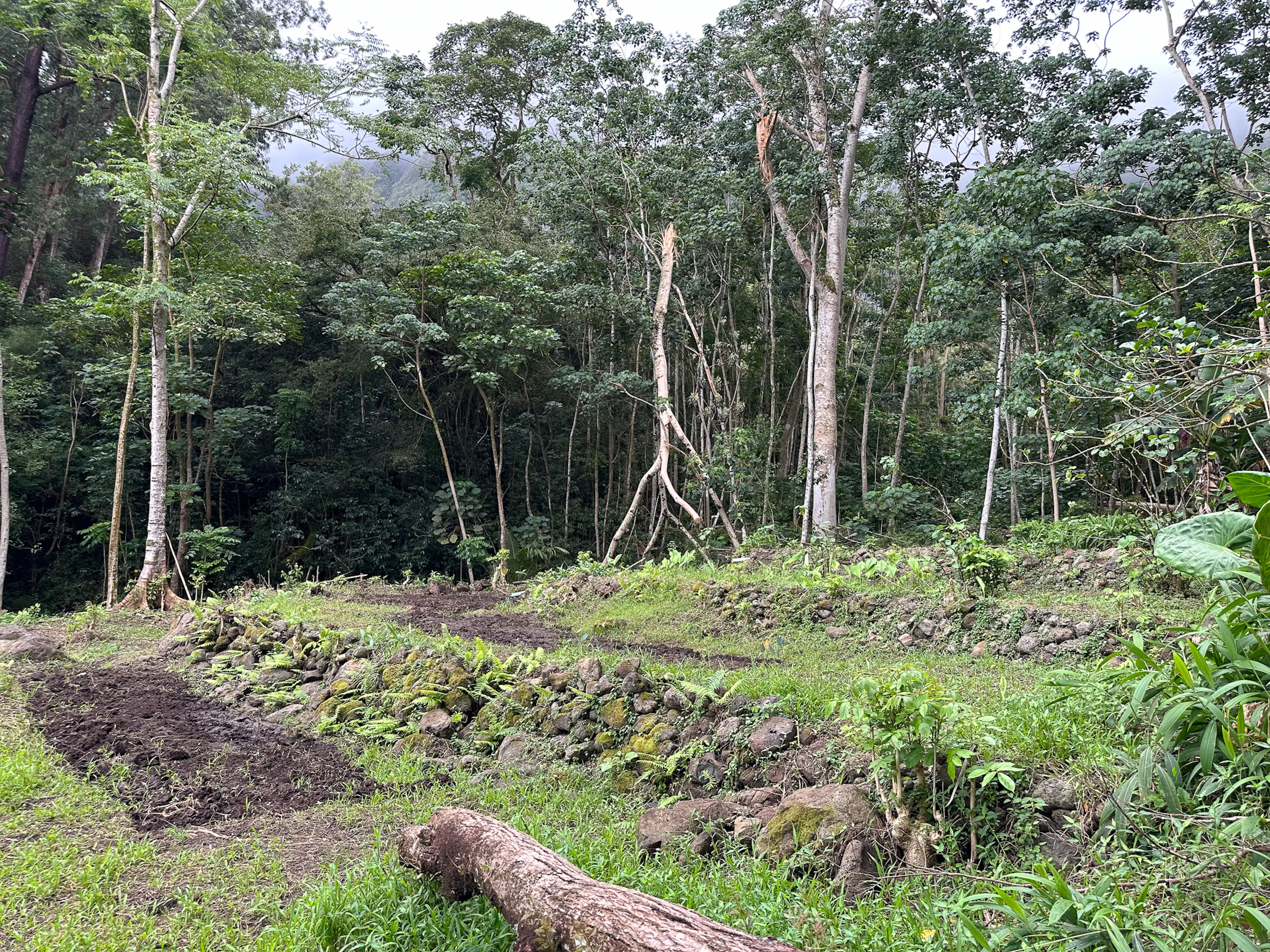 13th Festival of Pacific Arts and Culture (FestPAC) — 22