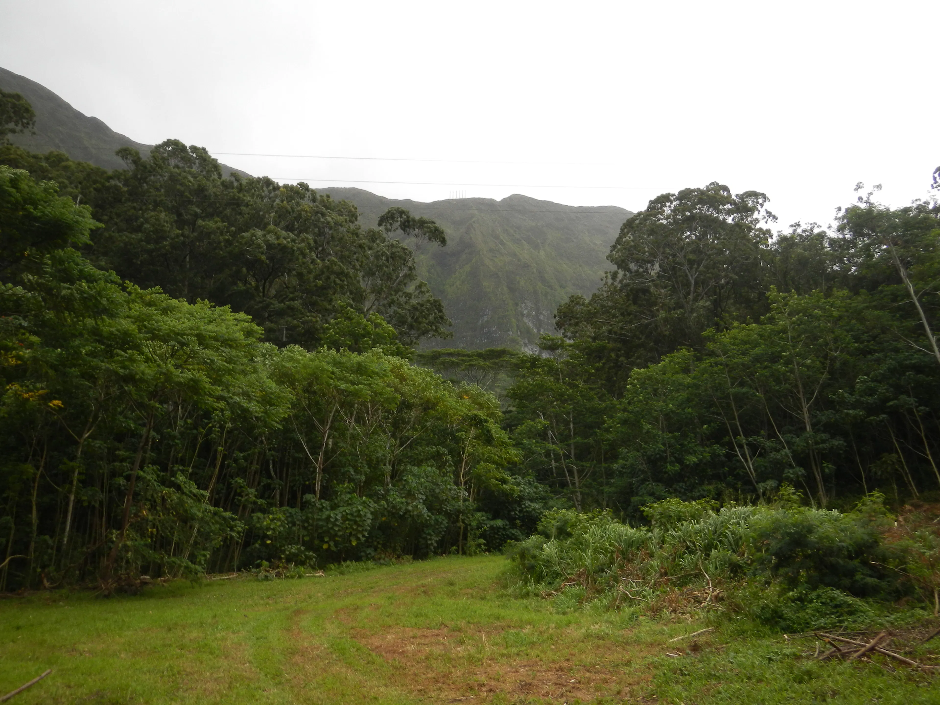 13th Festival of Pacific Arts and Culture (FestPAC) — 15