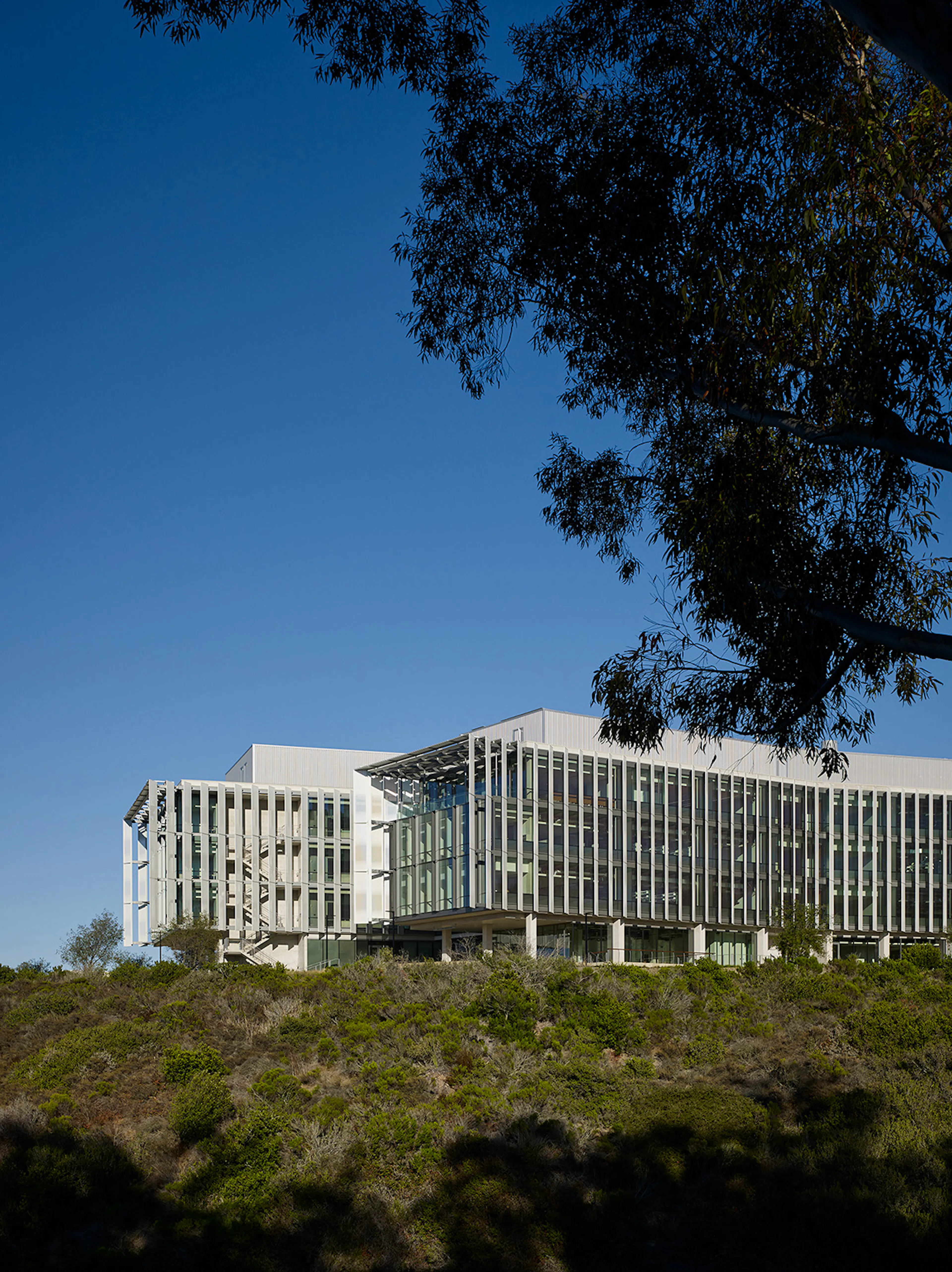 University of California San Diego, Franklin Antonio Hall — 4